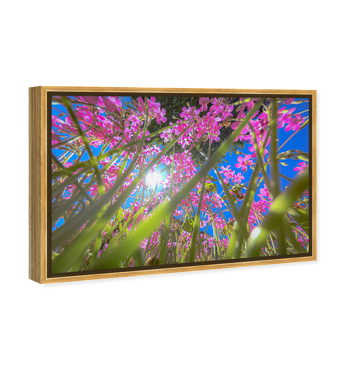 54x36/Framed Canvas/PSGLD