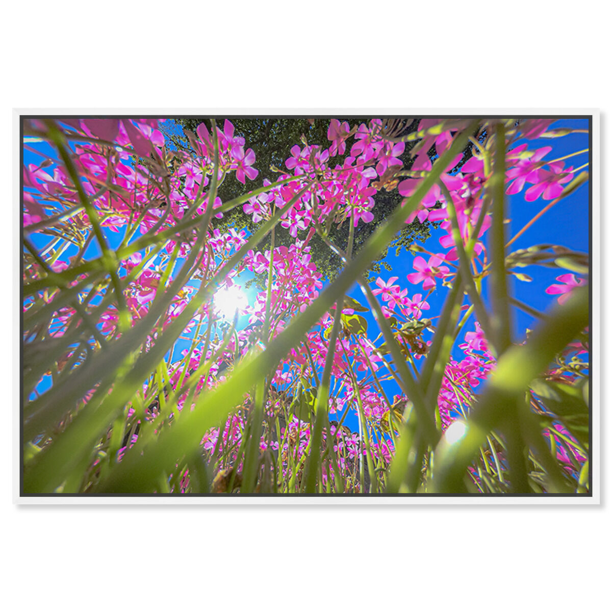 54x36/Framed Canvas/WFL