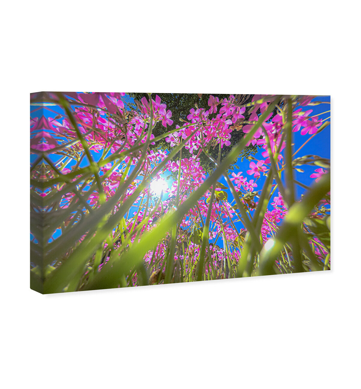 54x36/Canvas/XHD