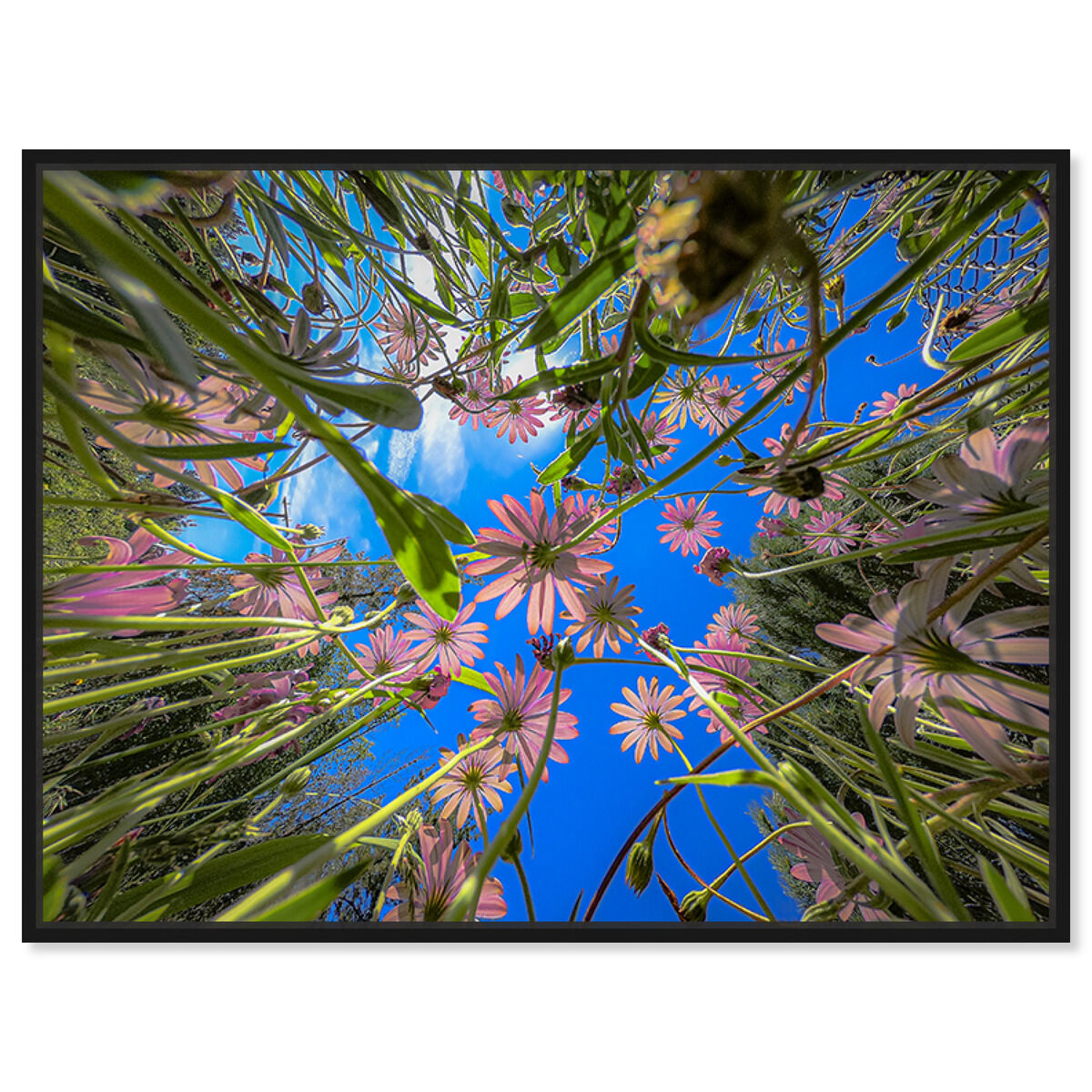 54x36/Framed Canvas/BFL