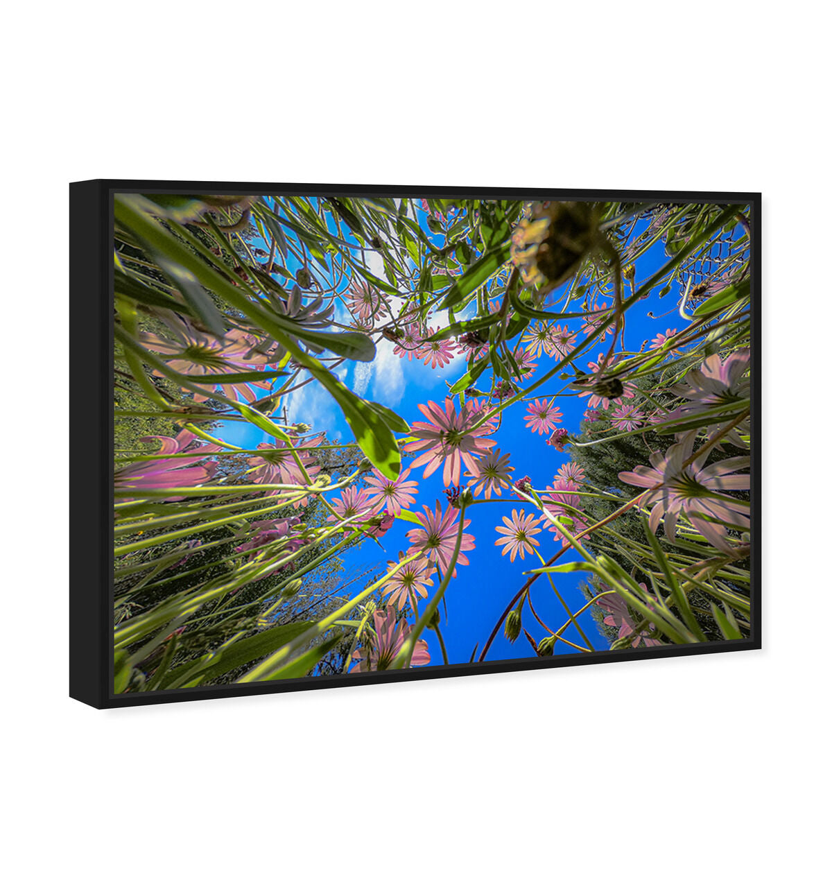 54x36/Framed Canvas/BFL