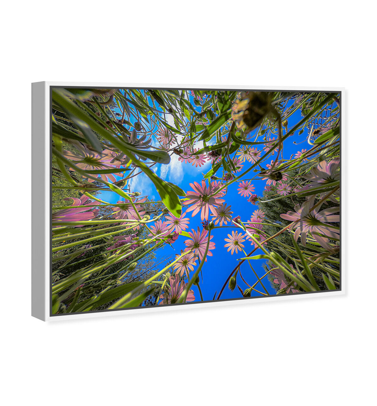 54x36/Framed Canvas/WFL