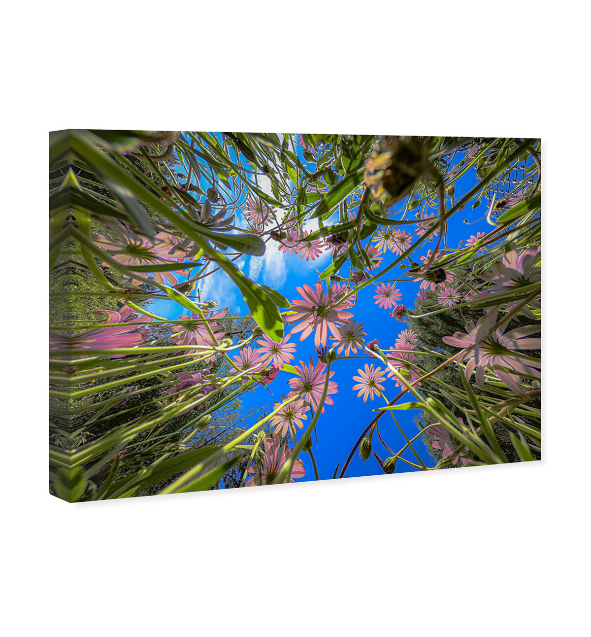 54x36/Canvas/XHD