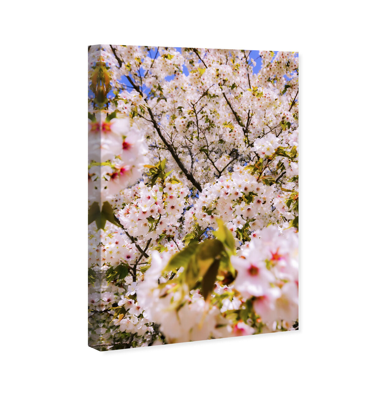 36x54/Canvas/XHD