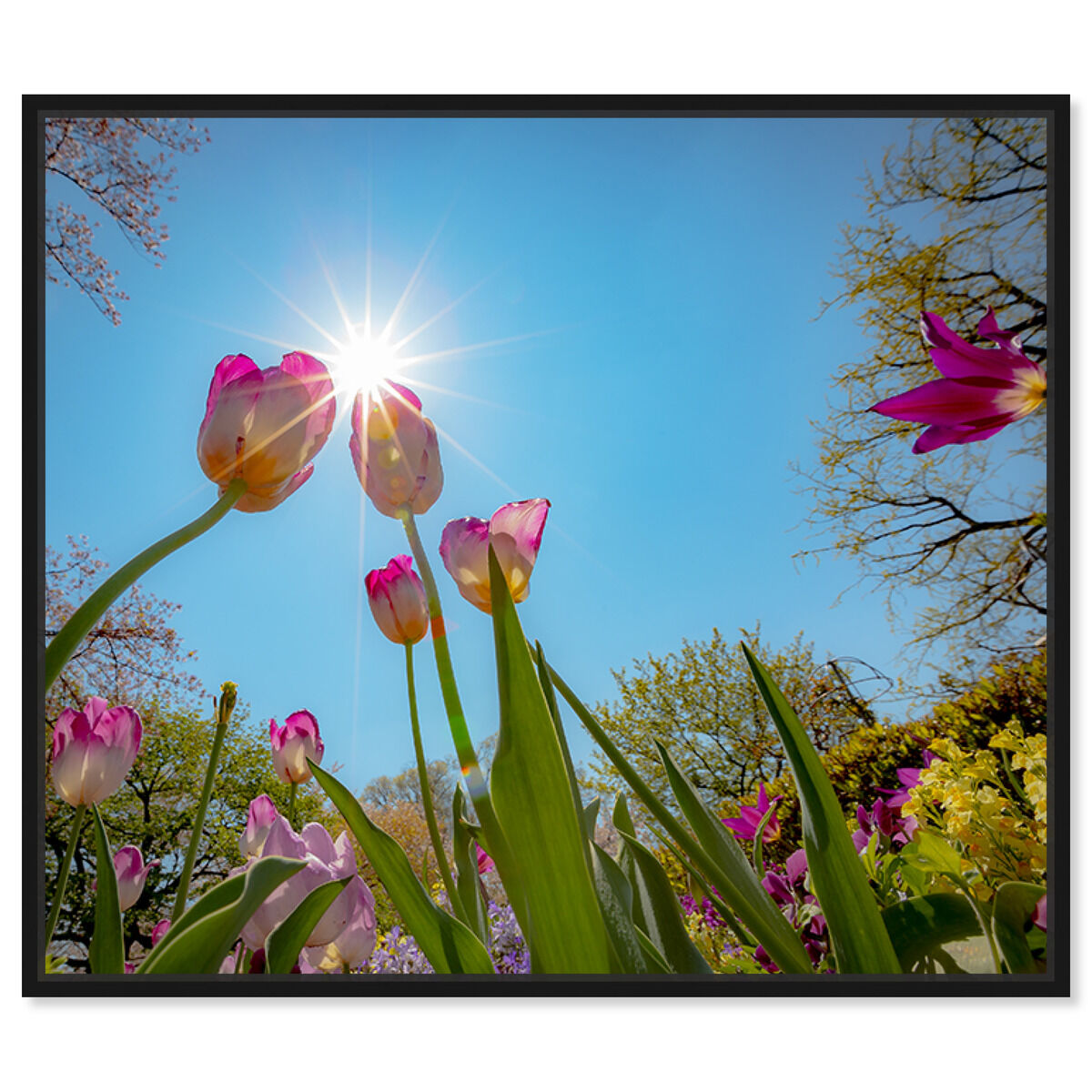 45x36/Framed Canvas/BFL