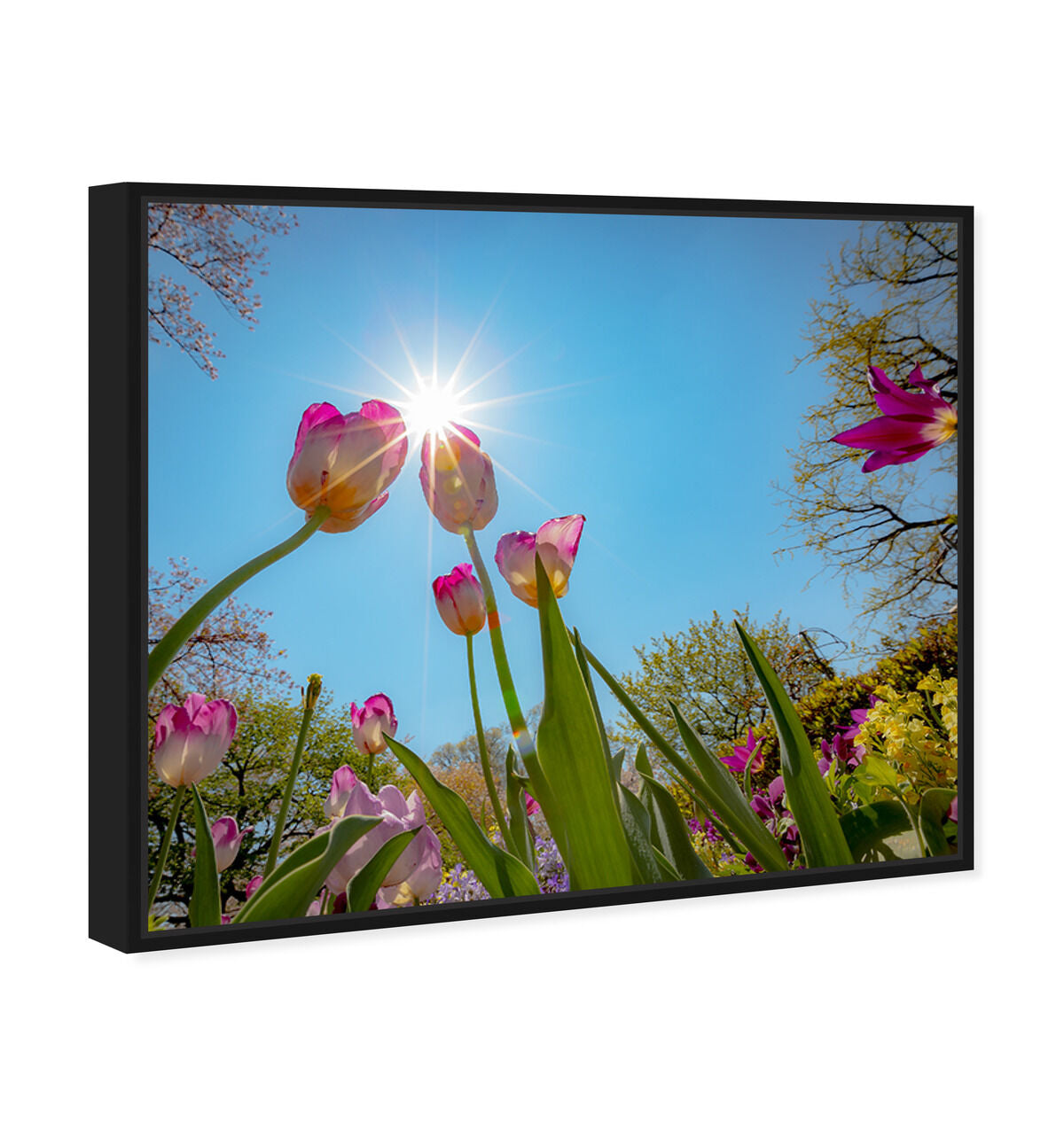 45x36/Framed Canvas/BFL