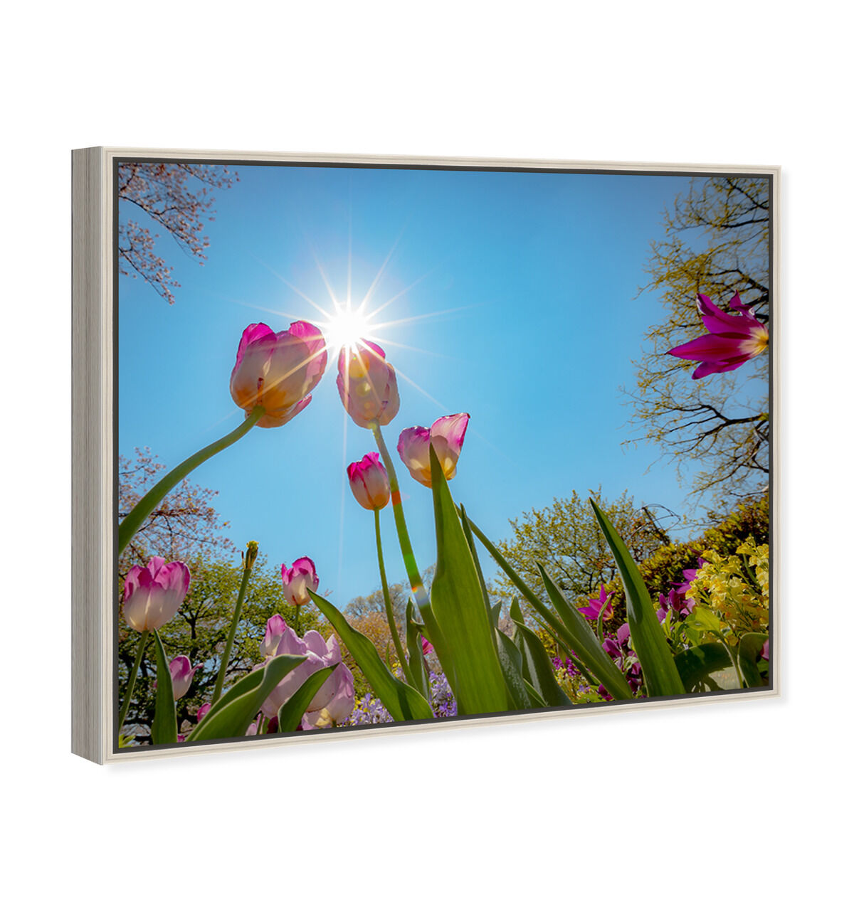 45x36/Framed Canvas/CFL