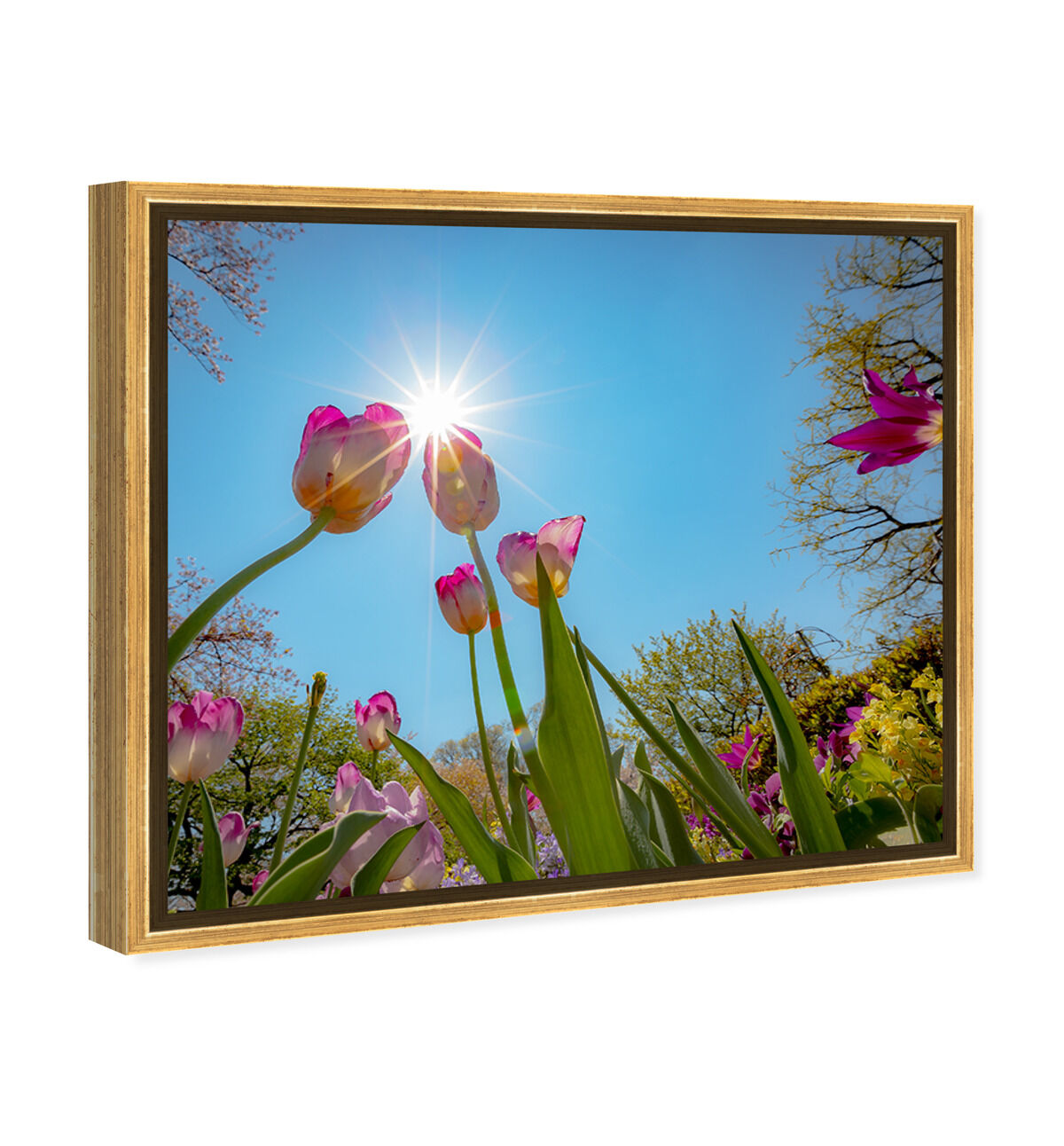 45x36/Framed Canvas/PSGLD