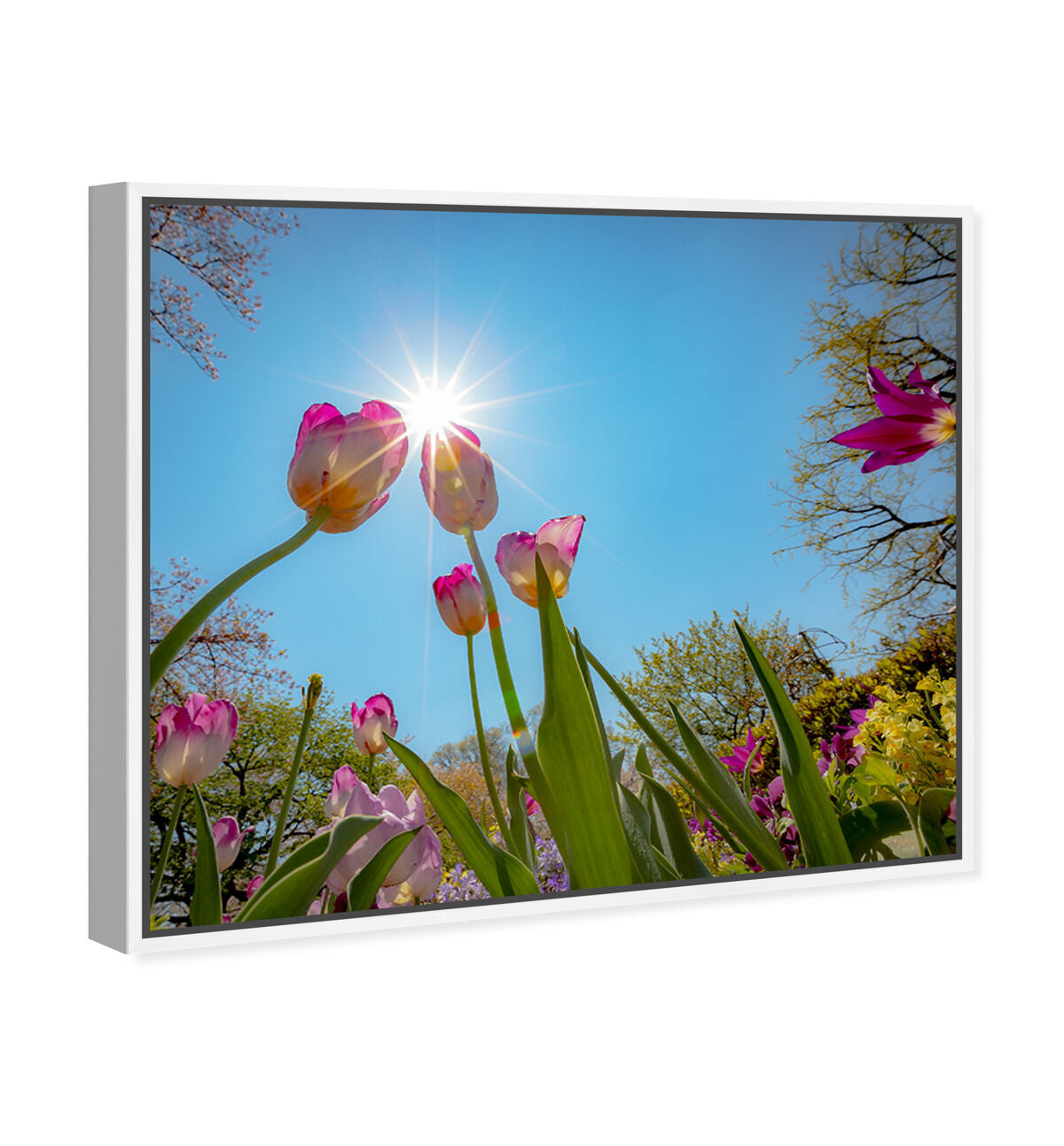 45x36/Framed Canvas/WFL