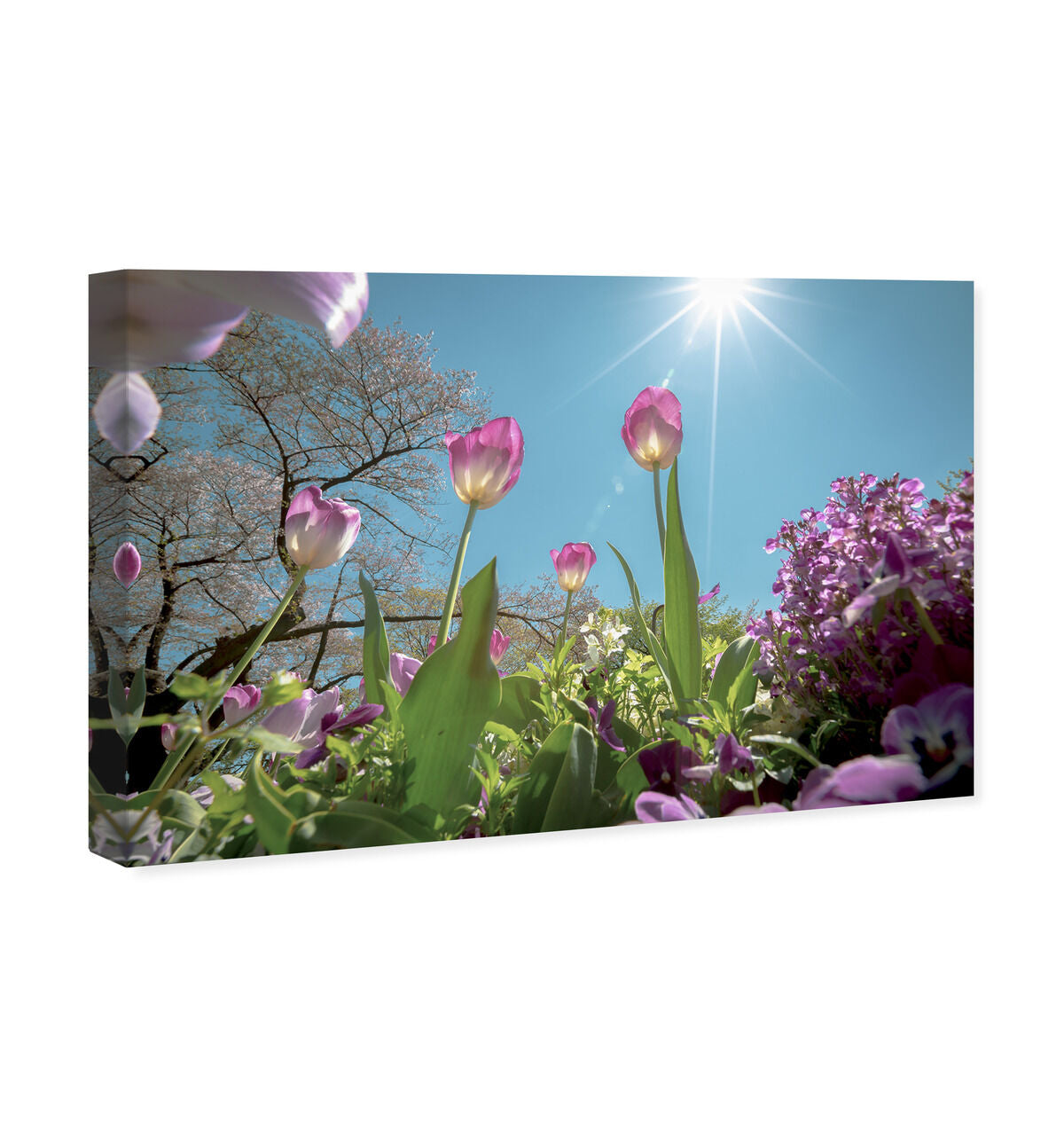 54x36/Canvas/XHD