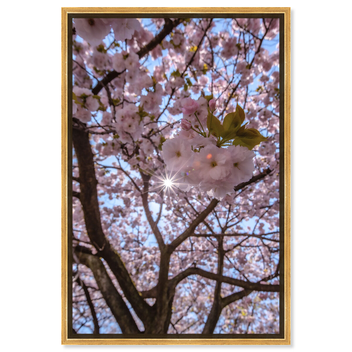 36x54/Framed Canvas/PSGLD