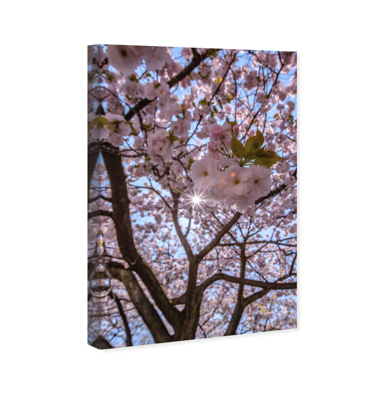36x54/Canvas/XHD