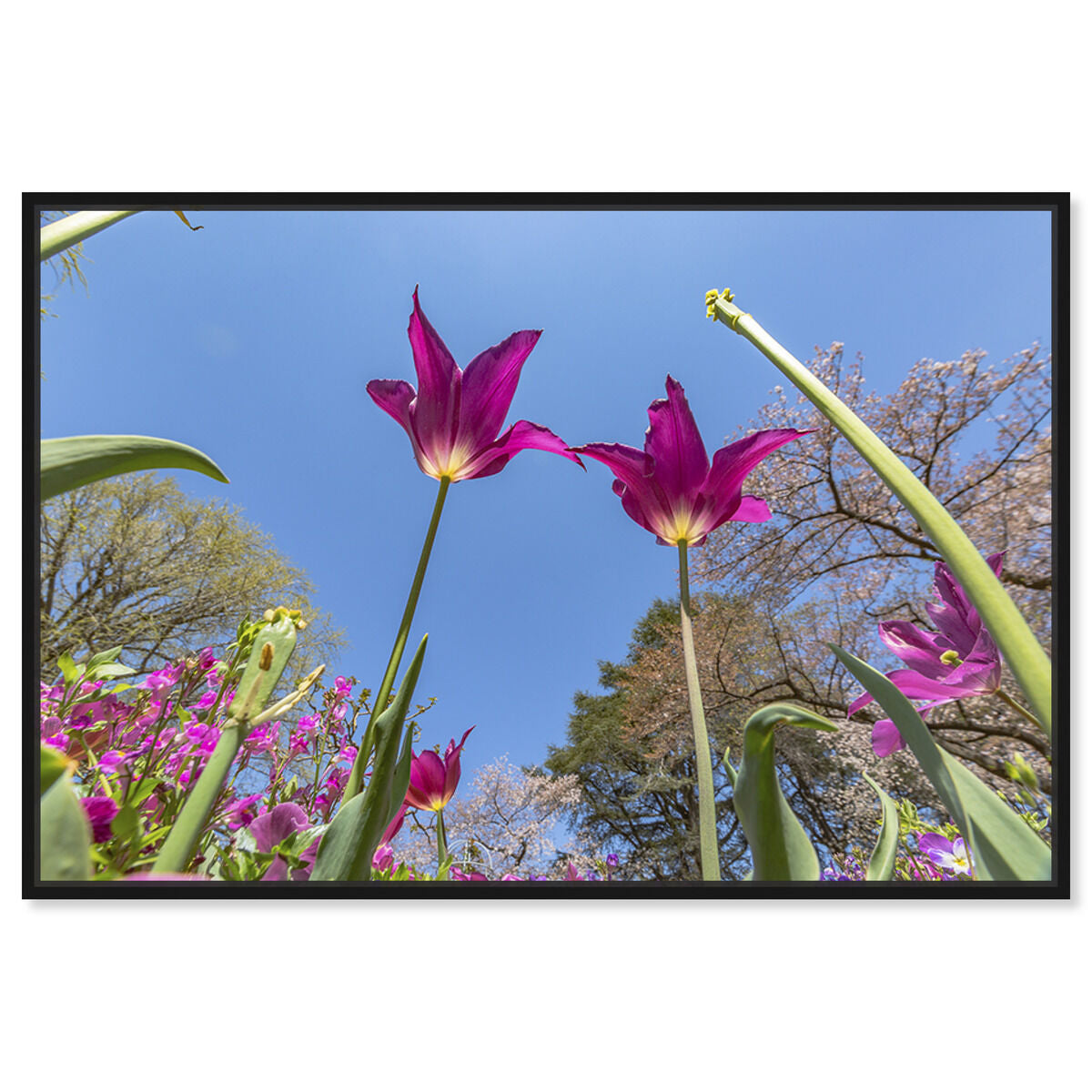54x36/Framed Canvas/BFL