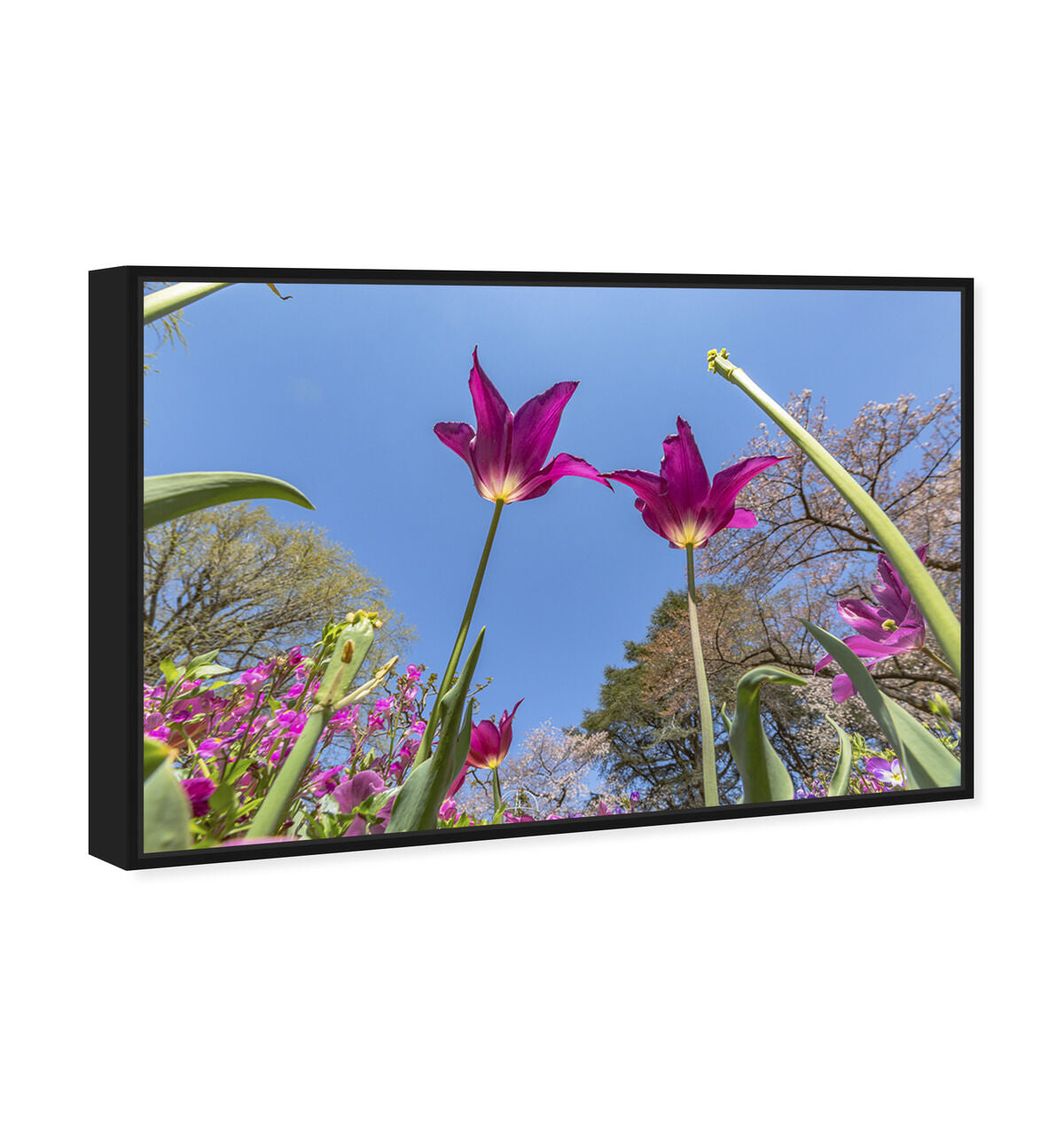 54x36/Framed Canvas/BFL