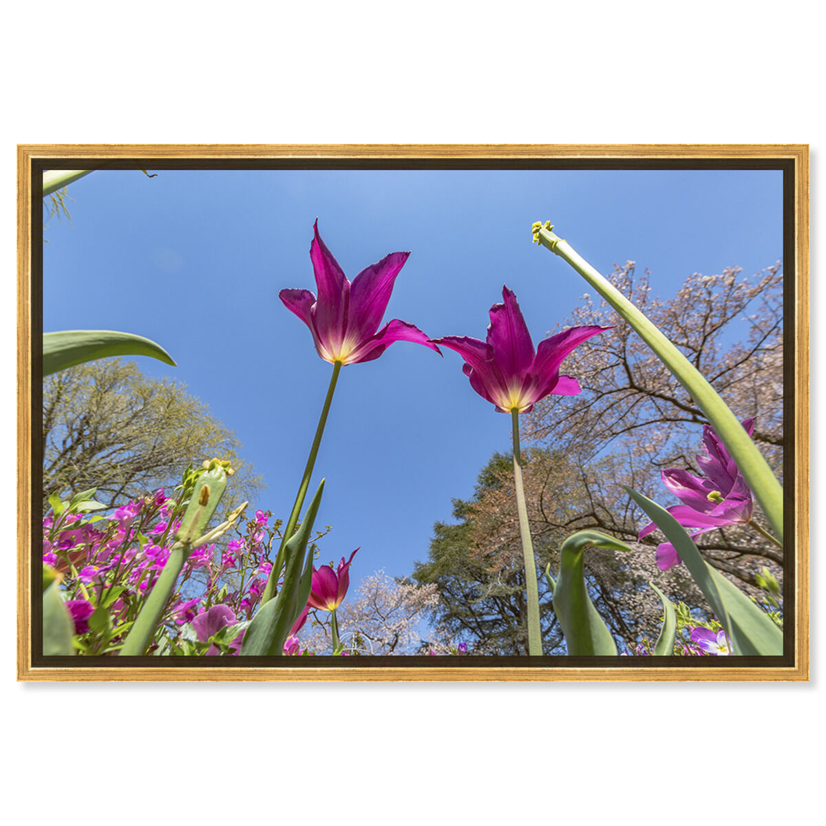 54x36/Framed Canvas/PSGLD