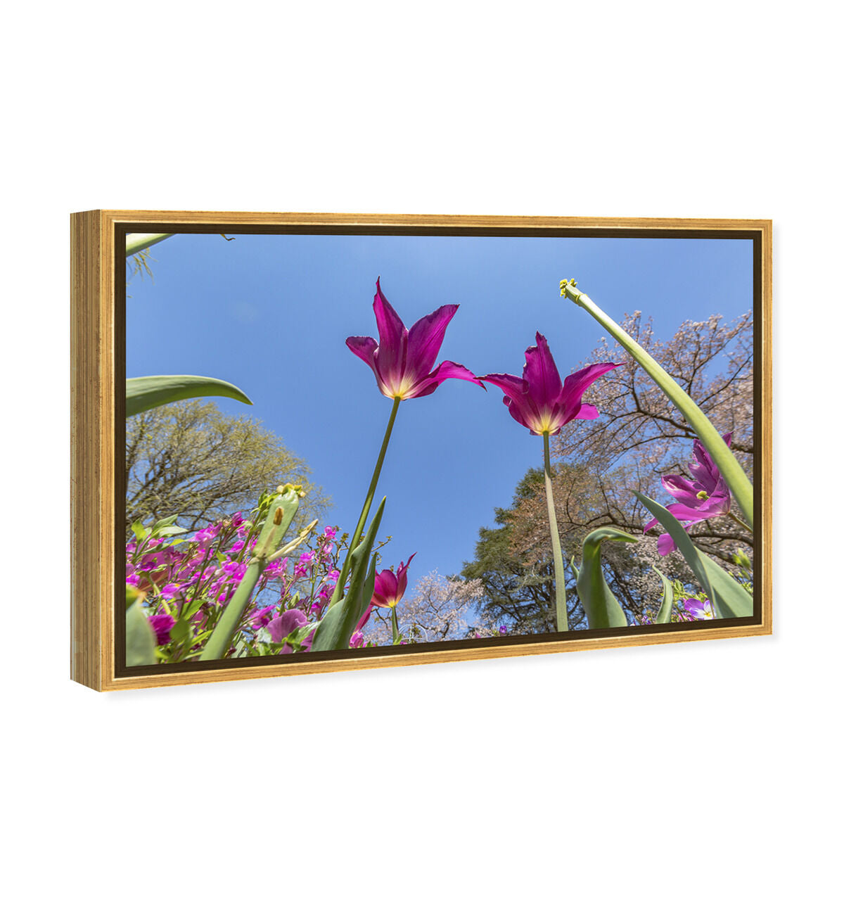 54x36/Framed Canvas/PSGLD