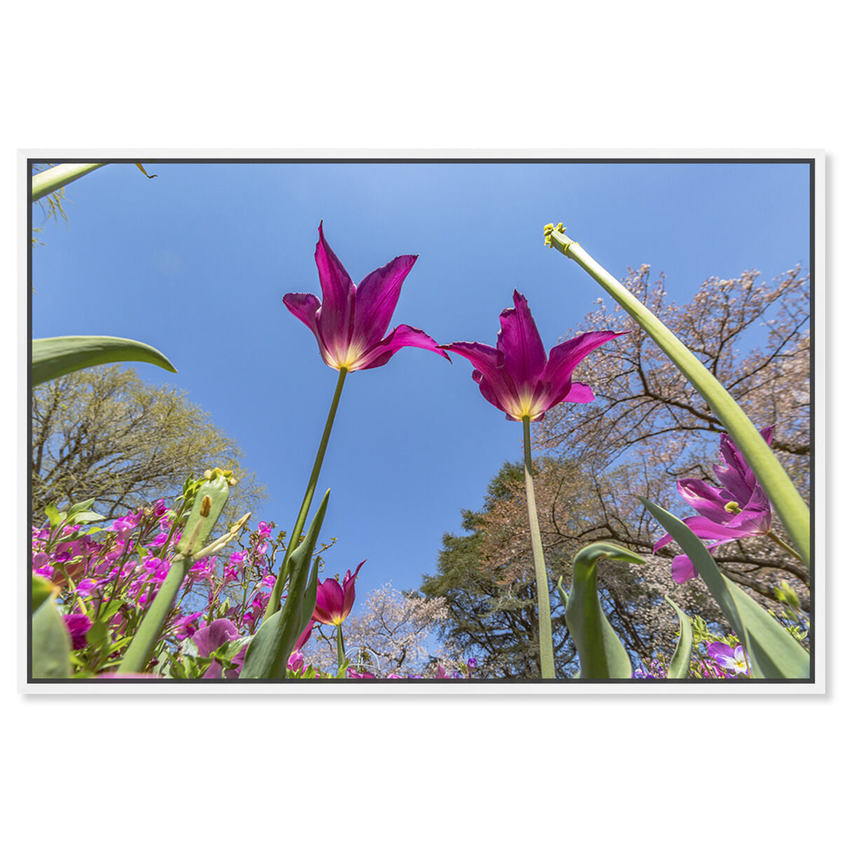 54x36/Framed Canvas/WFL