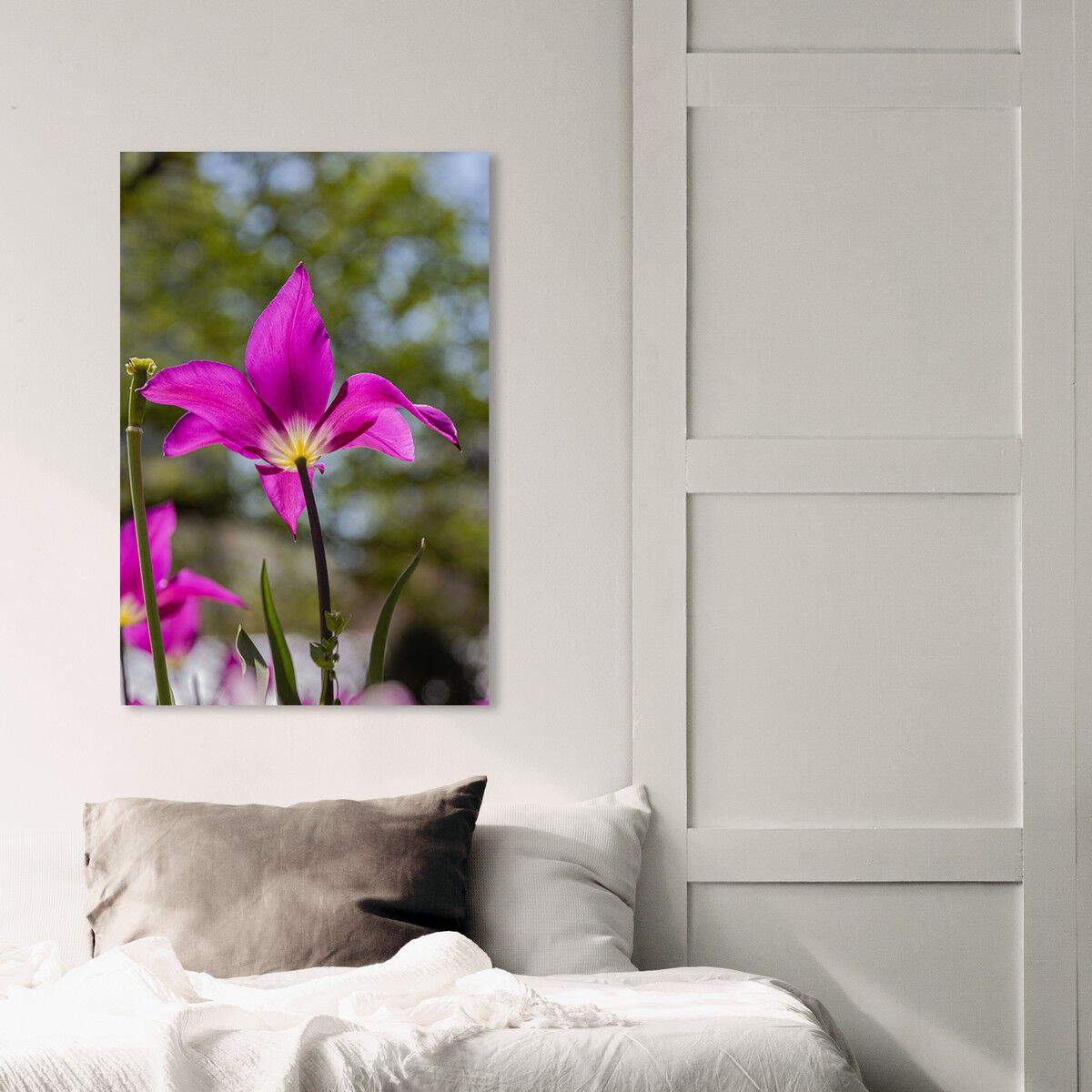 36x54/Canvas/XHD