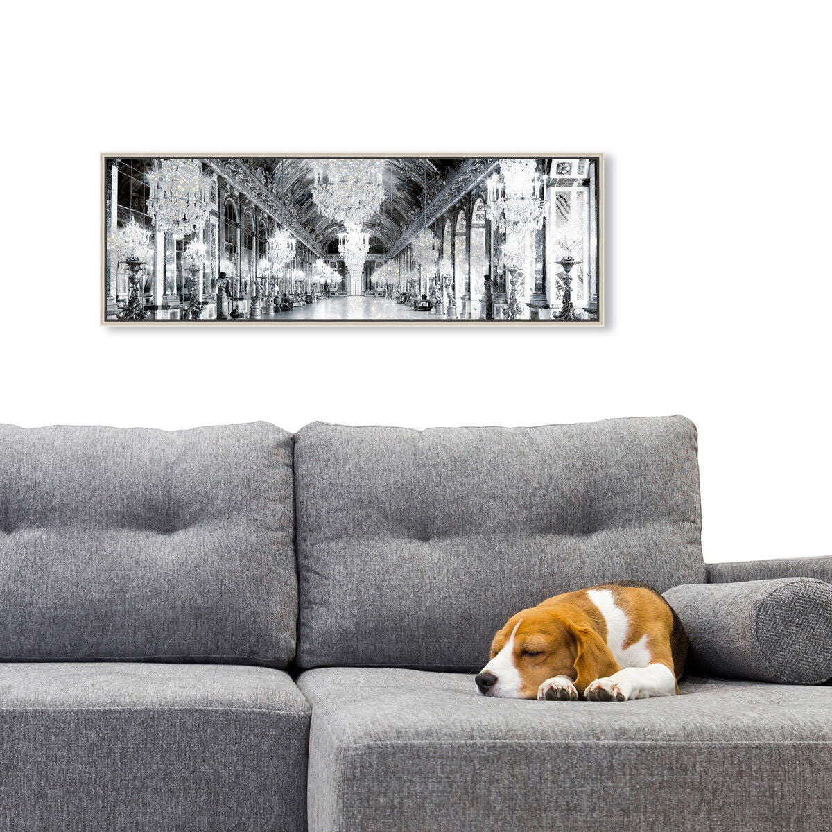 54x20/Canvas/CFL