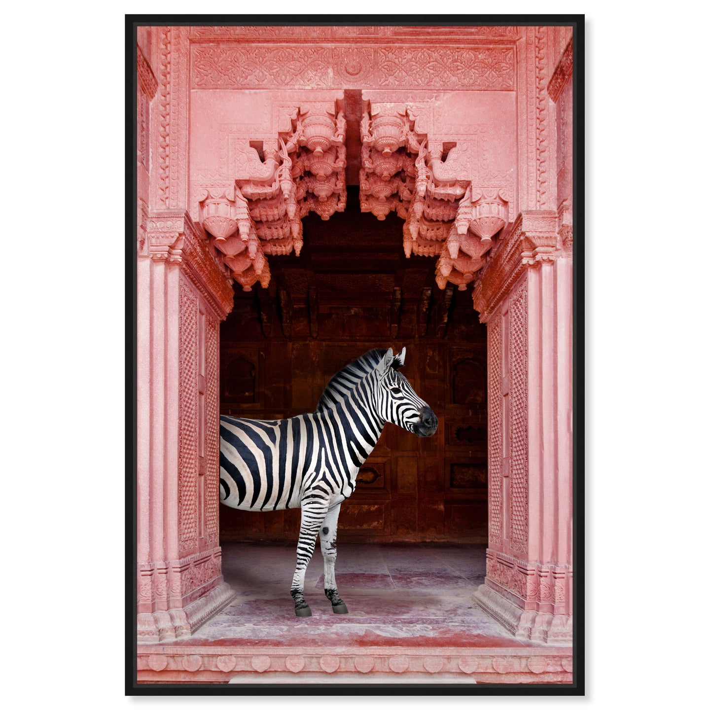 Zebras Apartment is Coral Pink