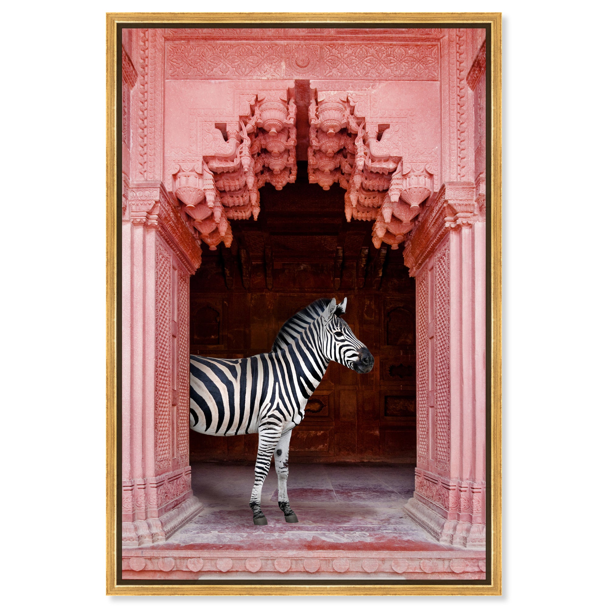 Zebras Apartment is Coral Pink