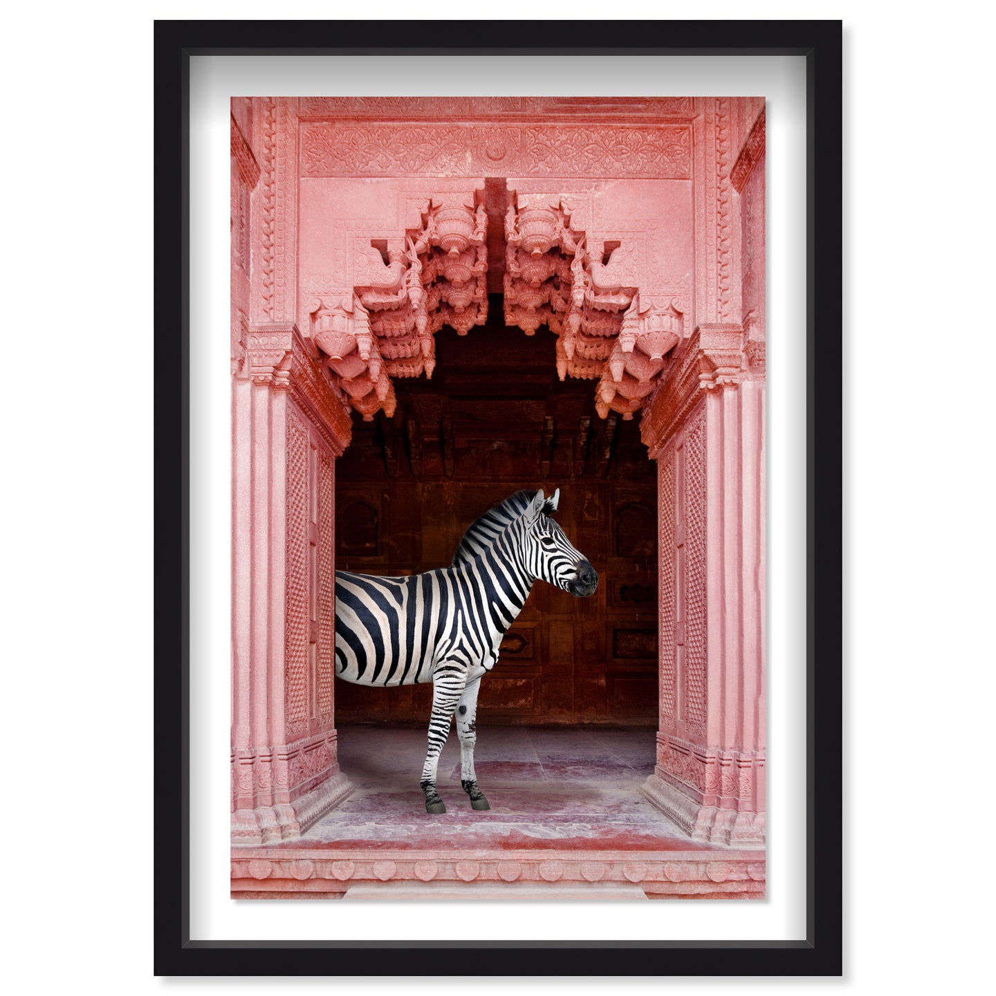 Zebras Apartment is Coral Pink