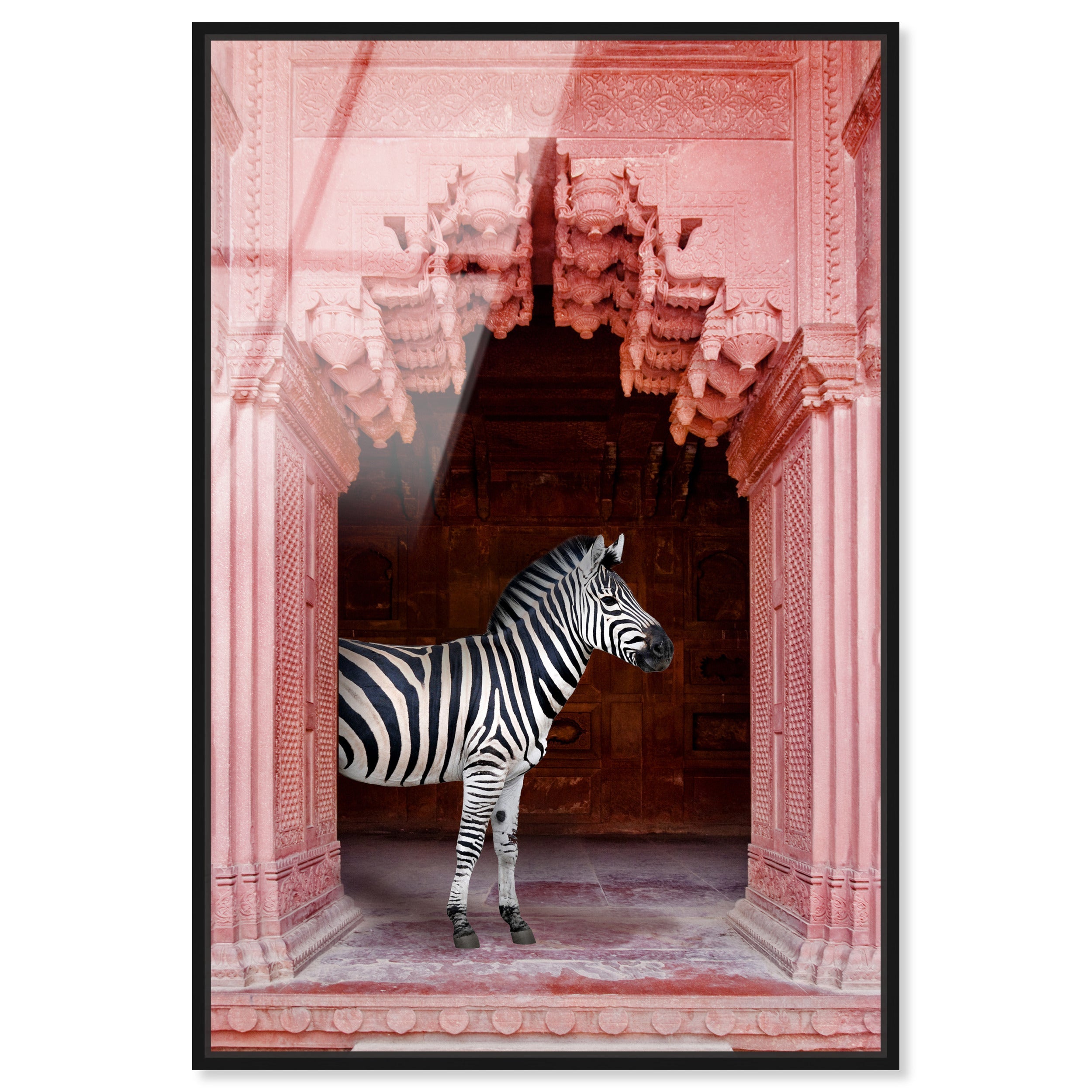 Zebras Apartment is Coral Pink| Animal Wall Art | Oliver Gal