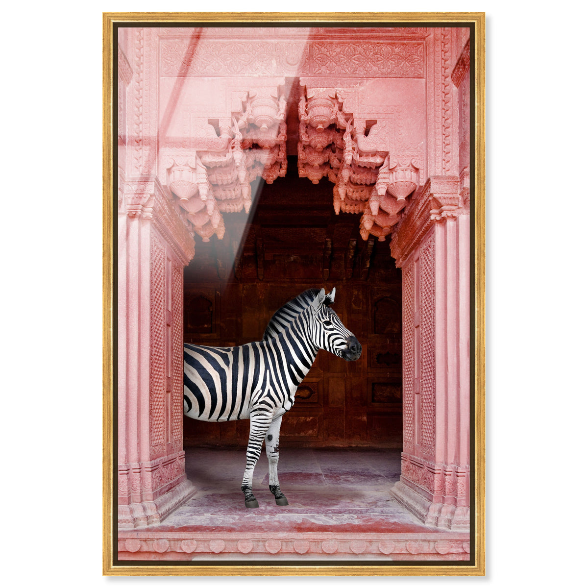 Zebras Apartment is Coral Pink| Animal Wall Art | Oliver Gal