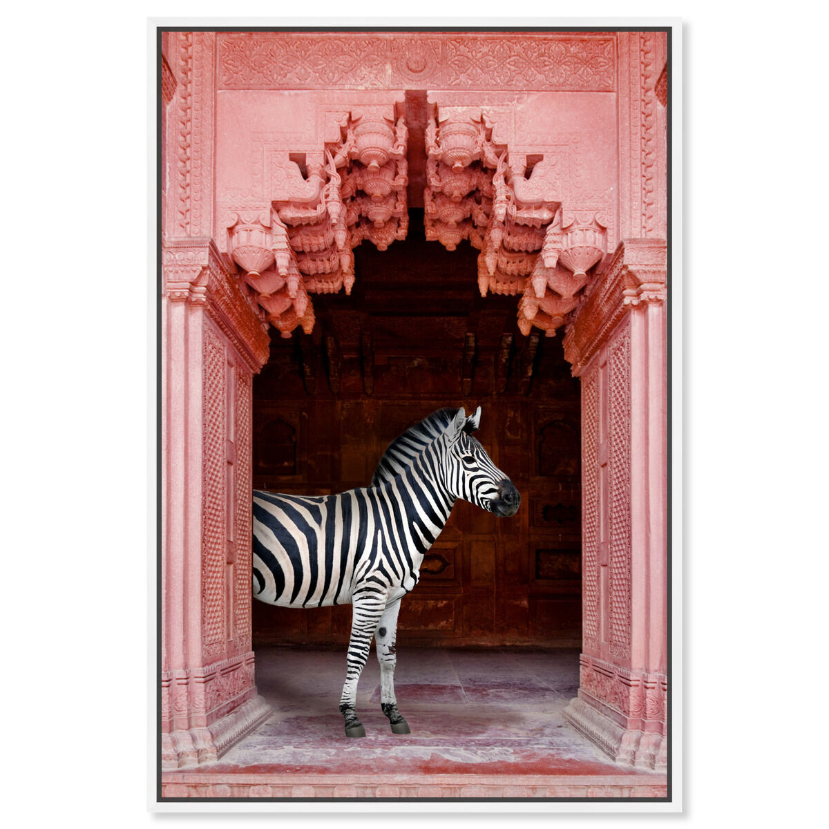 Zebras Apartment is Coral Pink| Animal Wall Art | Oliver Gal