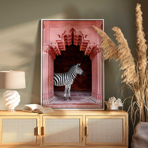 Zebras Apartment is Coral Pink