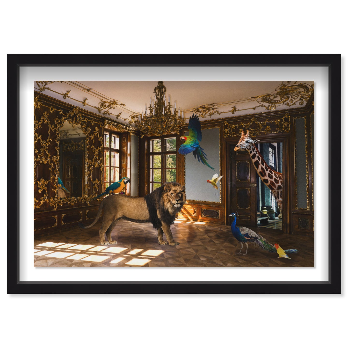 Associates in Rococo