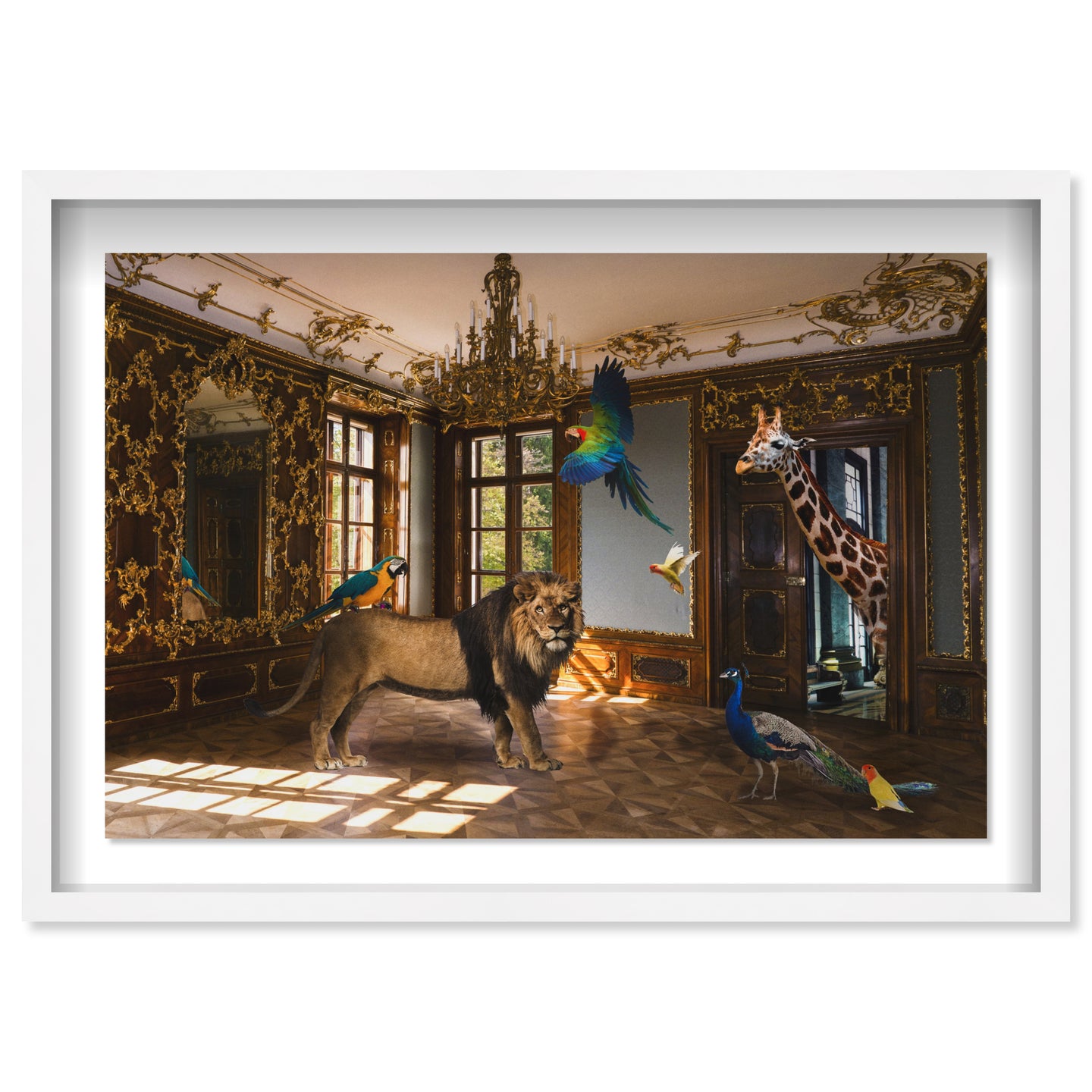 Associates in Rococo