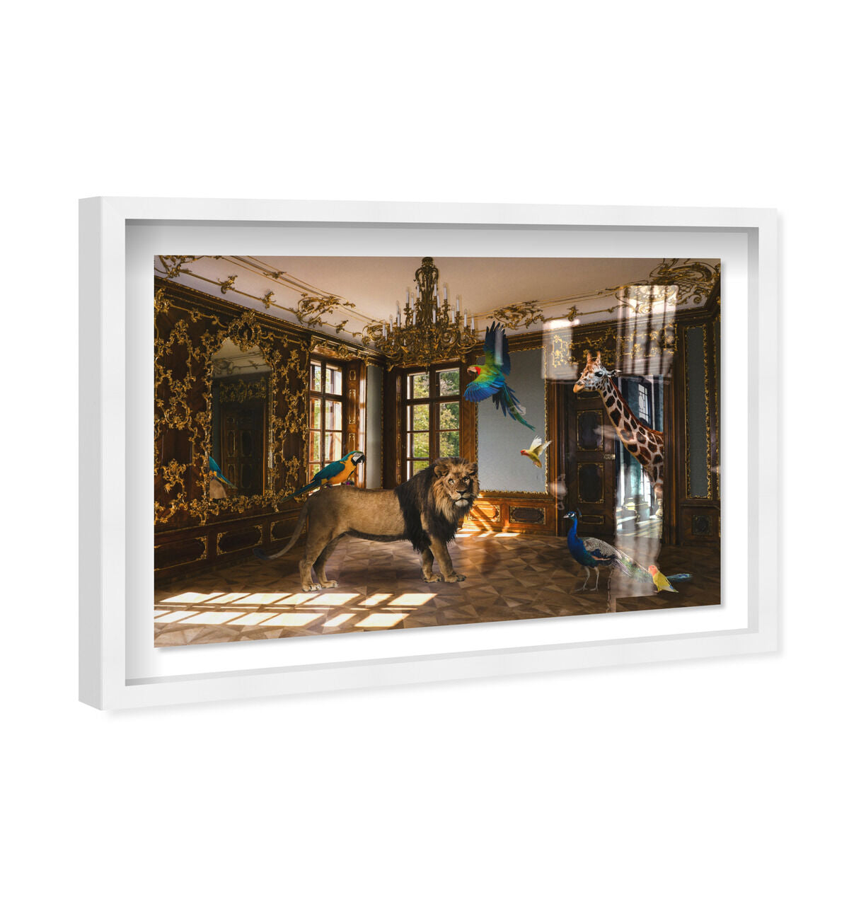 54x36/Shadowbox/SBW
