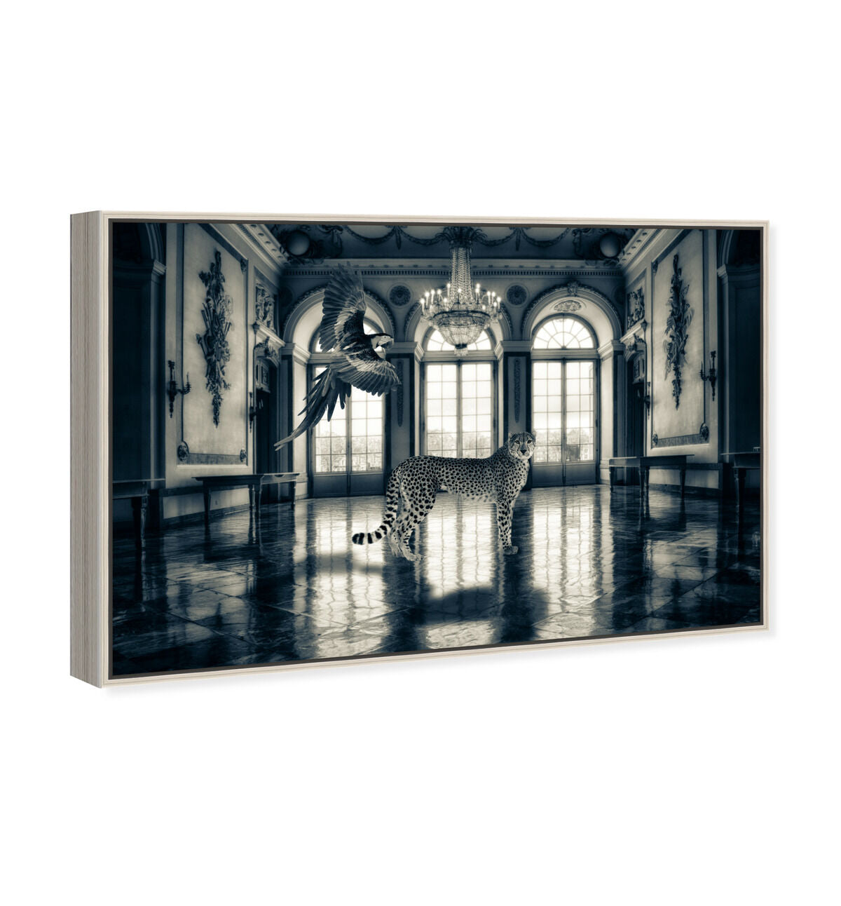 54x36/Canvas/CFL