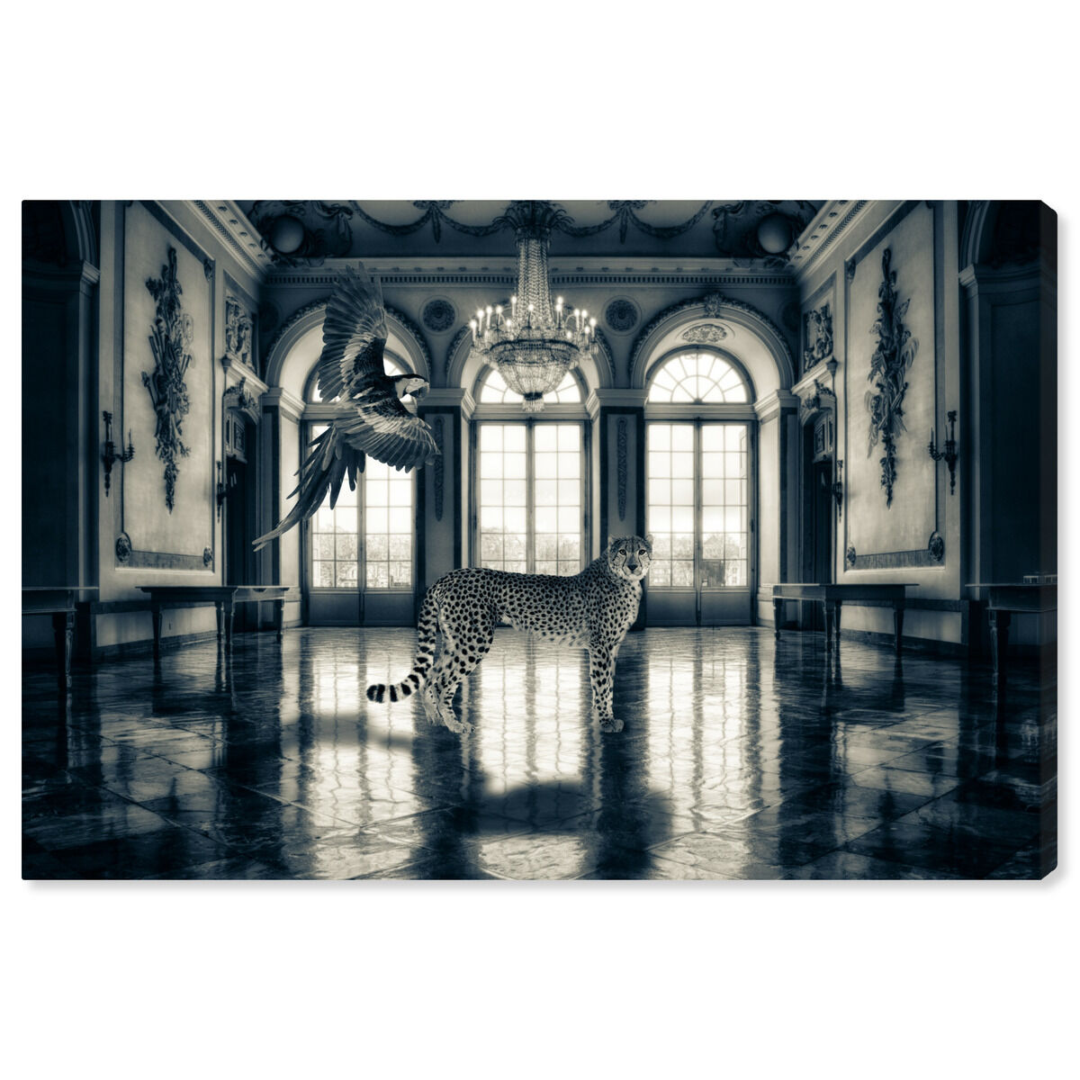 54x36/Canvas/XHD