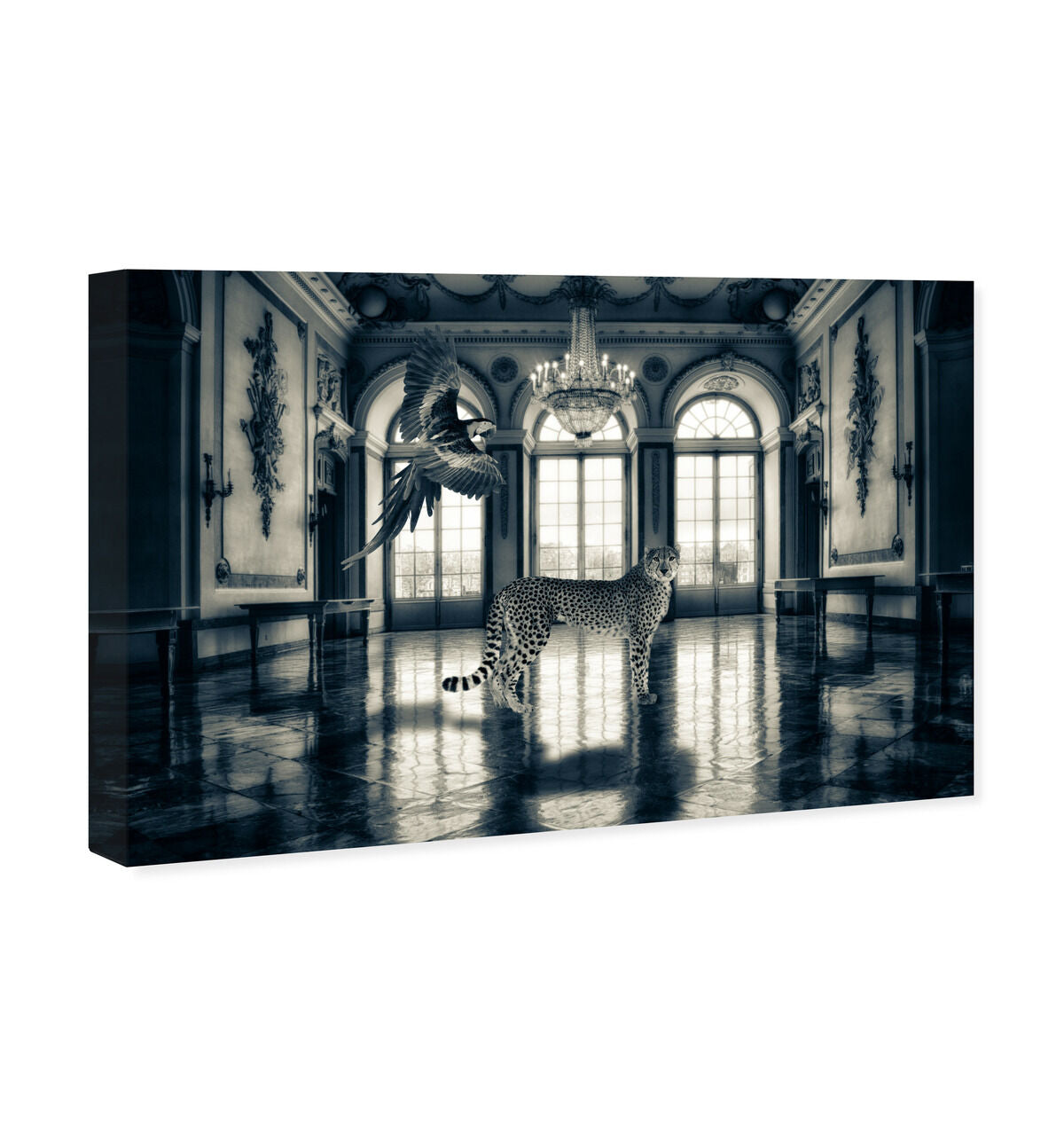 54x36/Canvas/XHD