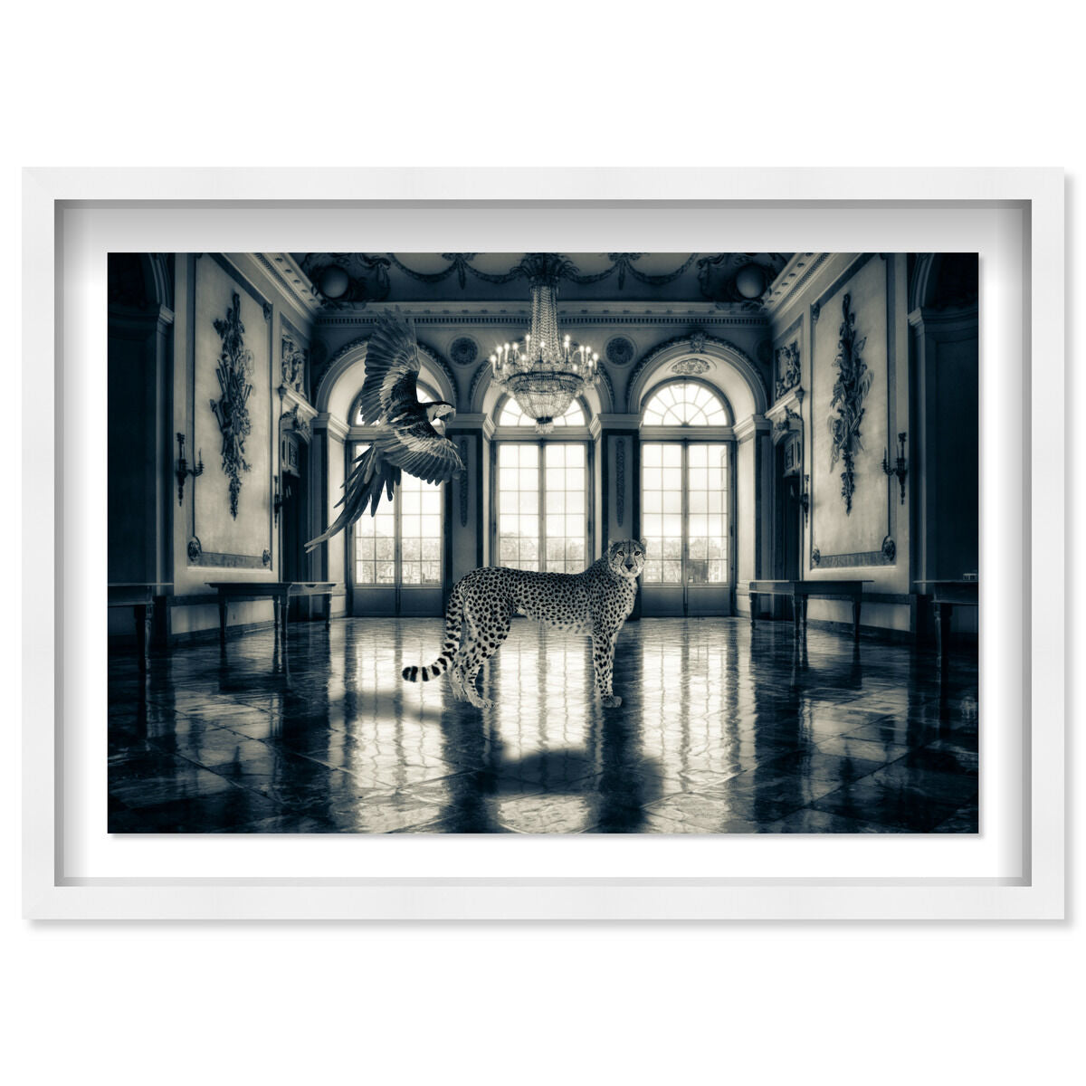 54x36/Shadowbox/SBW