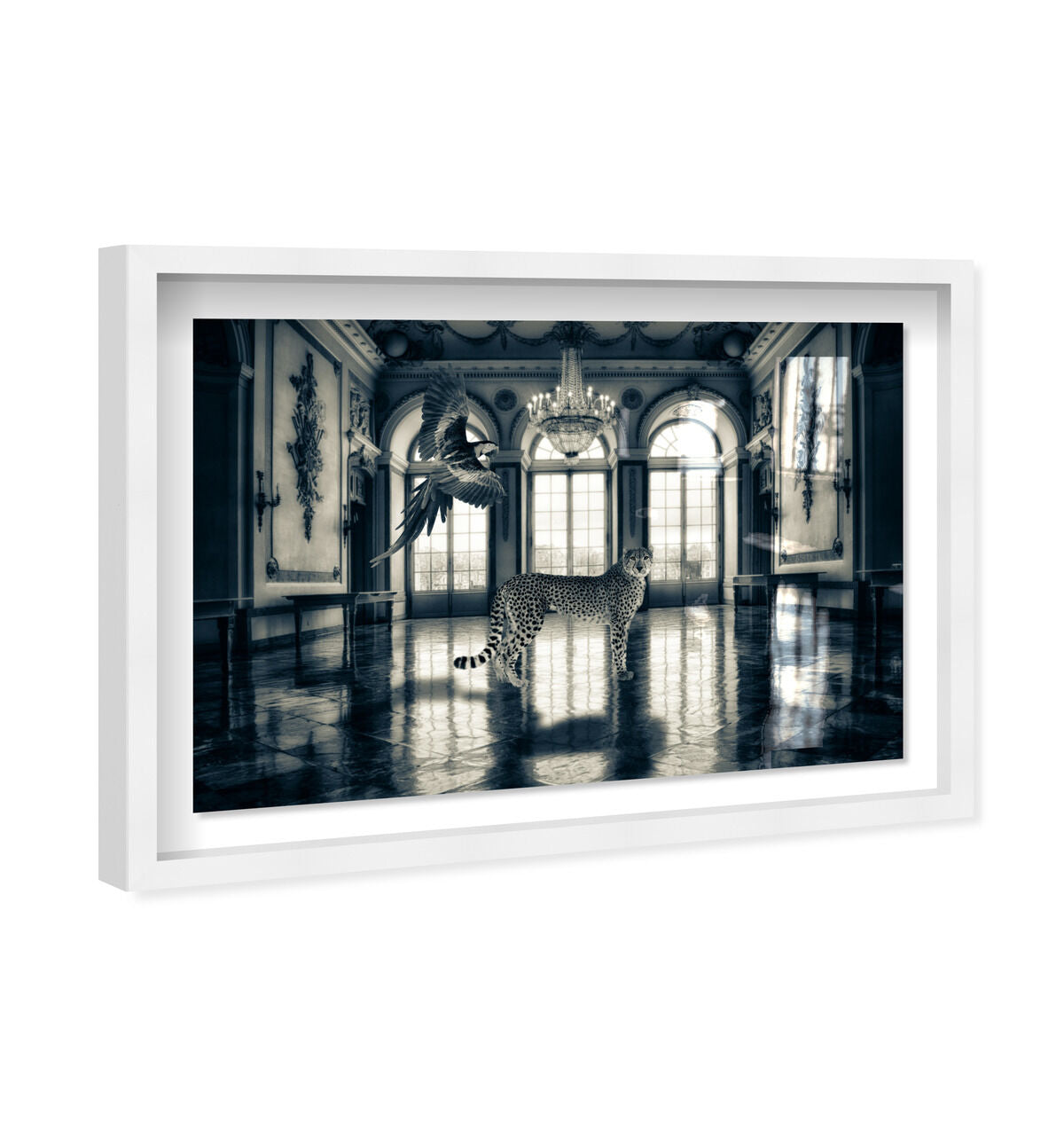54x36/Shadowbox/SBW