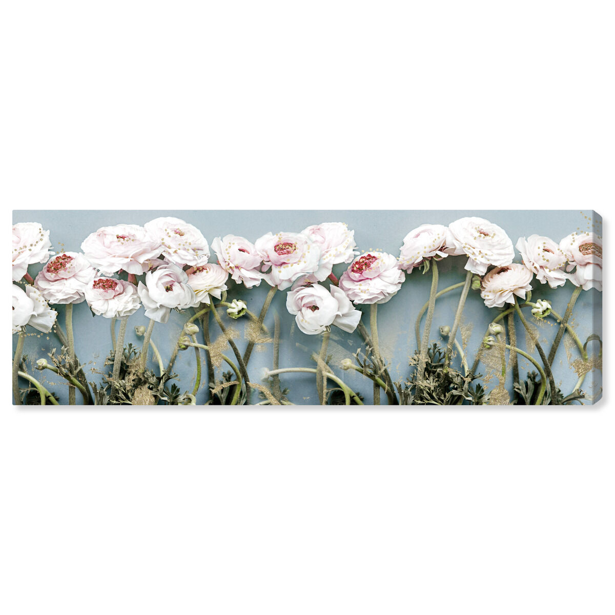 20x54/Canvas/XHD