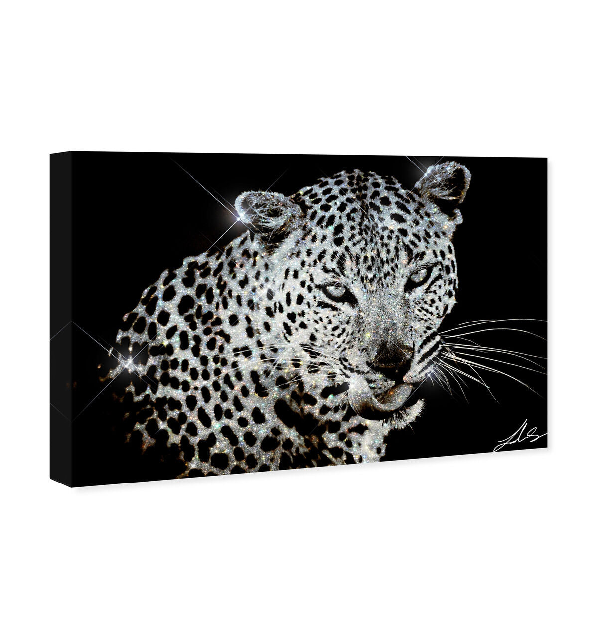 54x36/Canvas/XHD