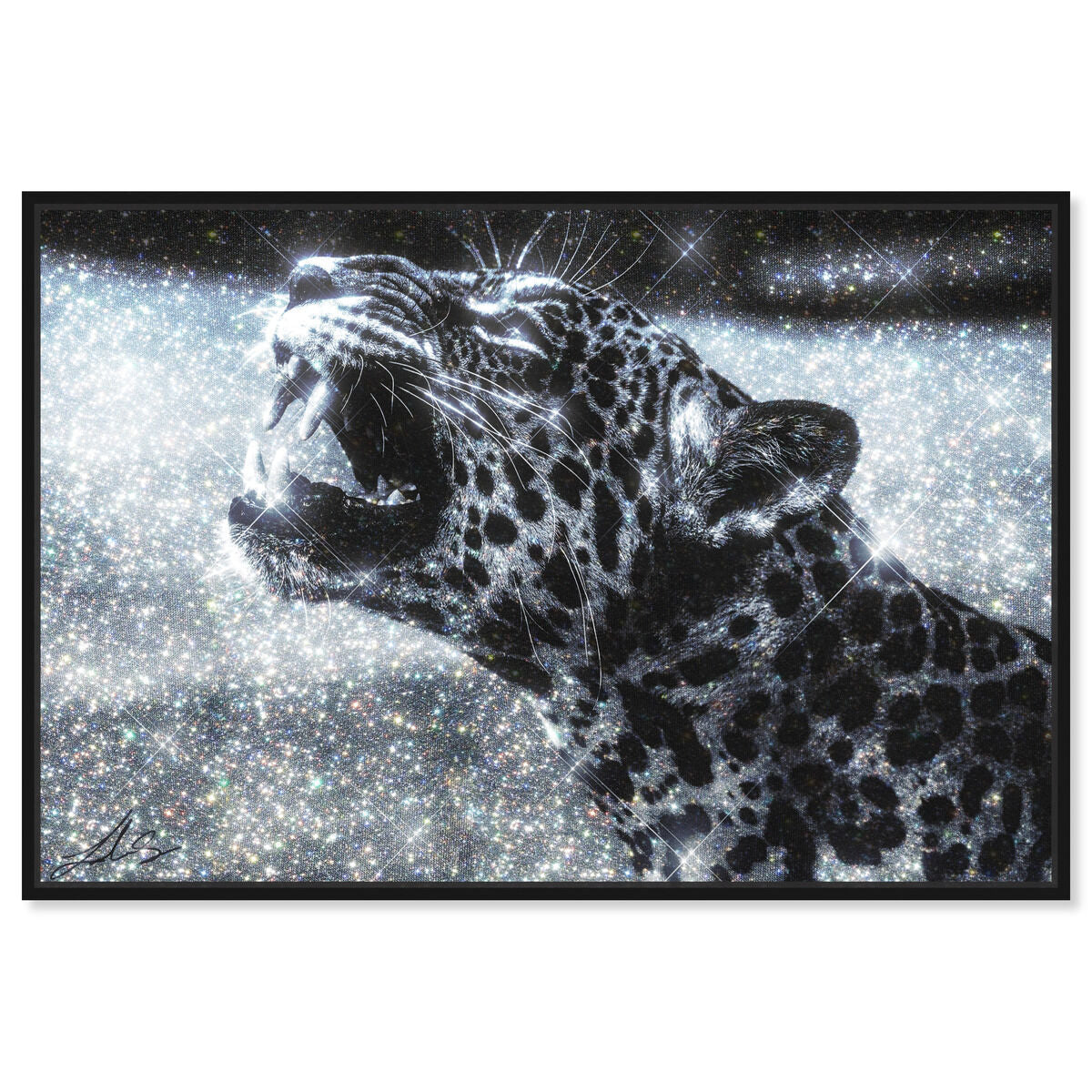 54x36/Canvas/BFL
