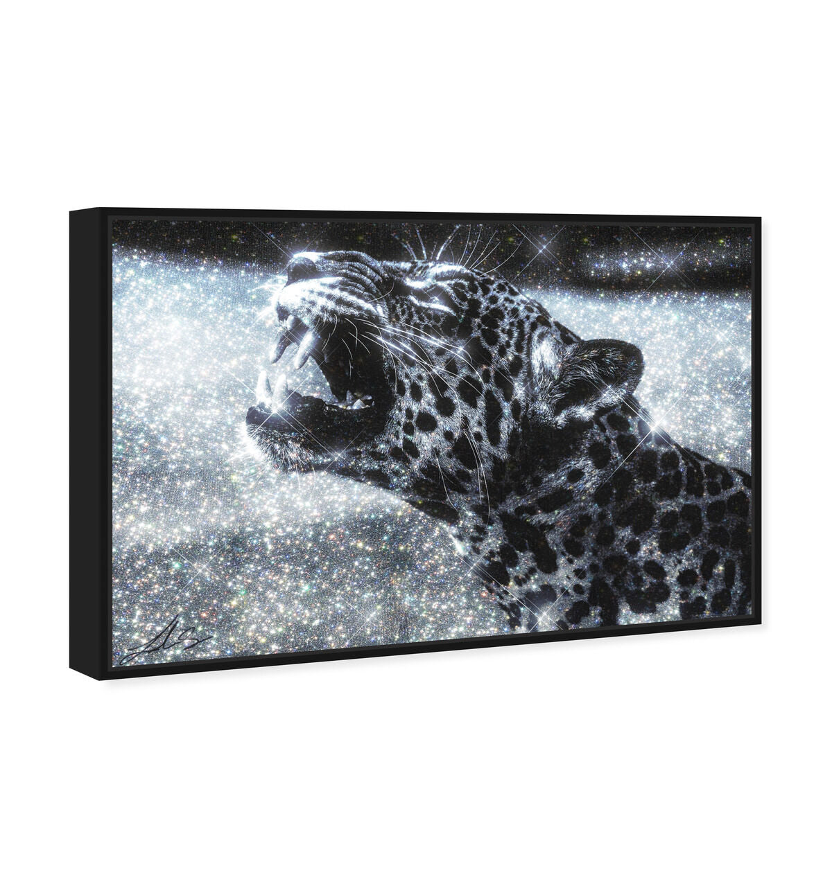 54x36/Canvas/BFL