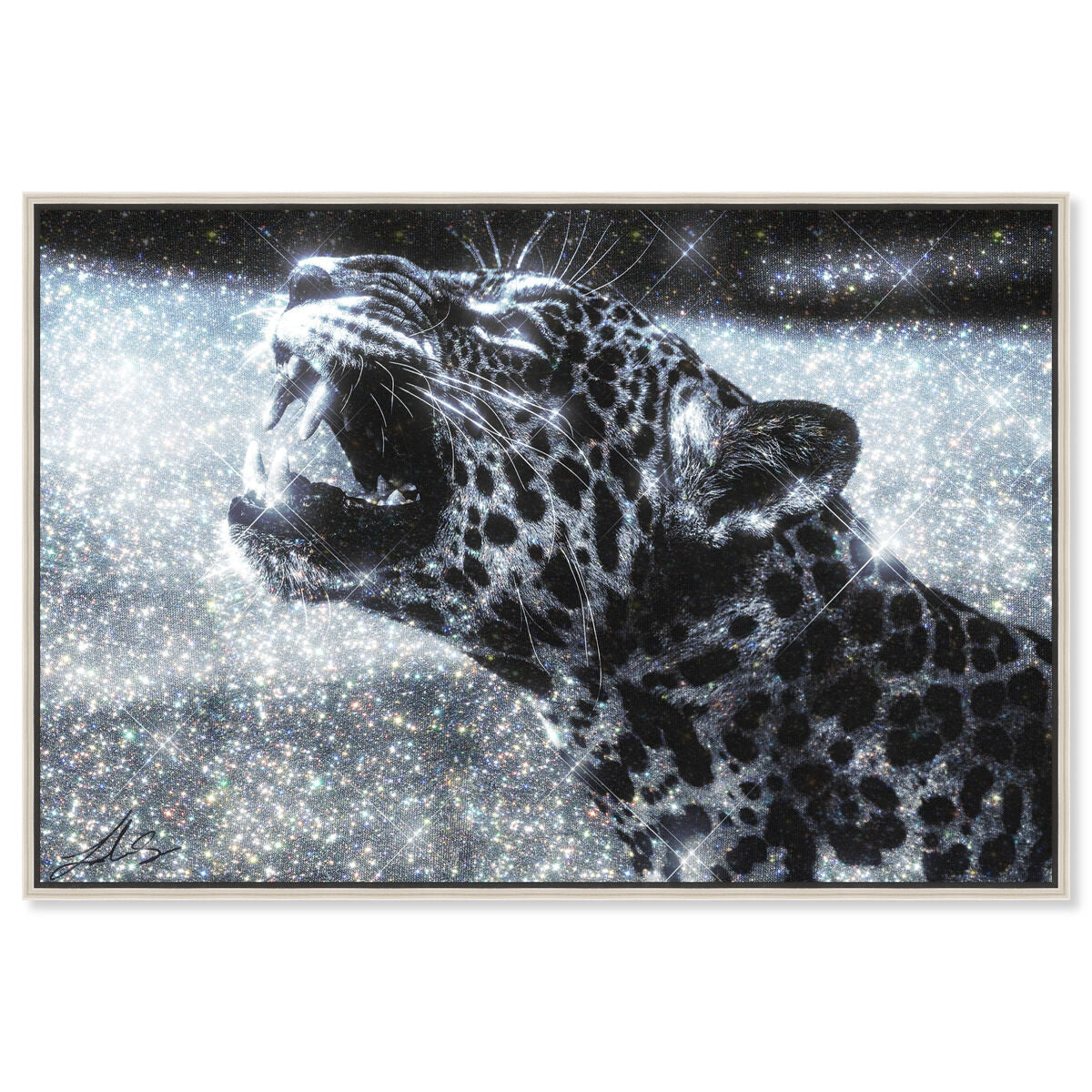 54x36/Canvas/CFL