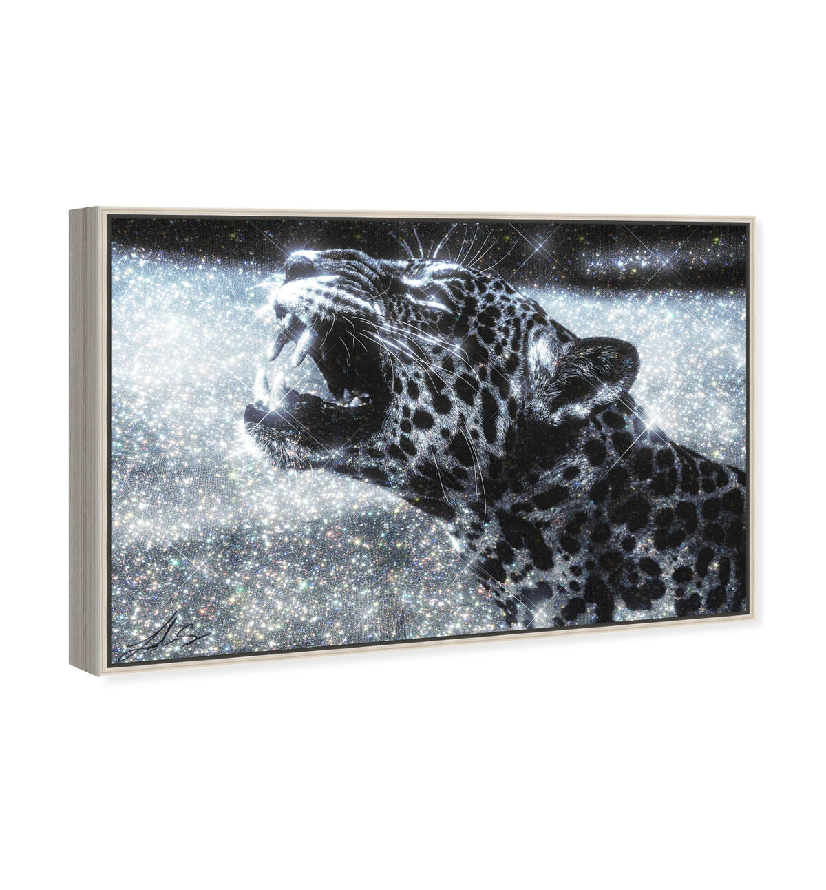 54x36/Canvas/CFL