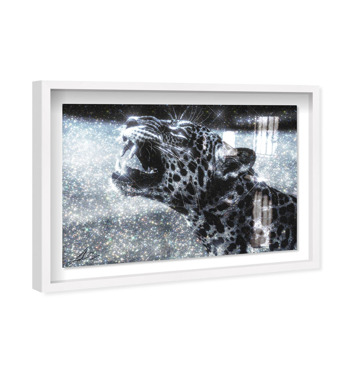 54x36/Shadowbox/SBW