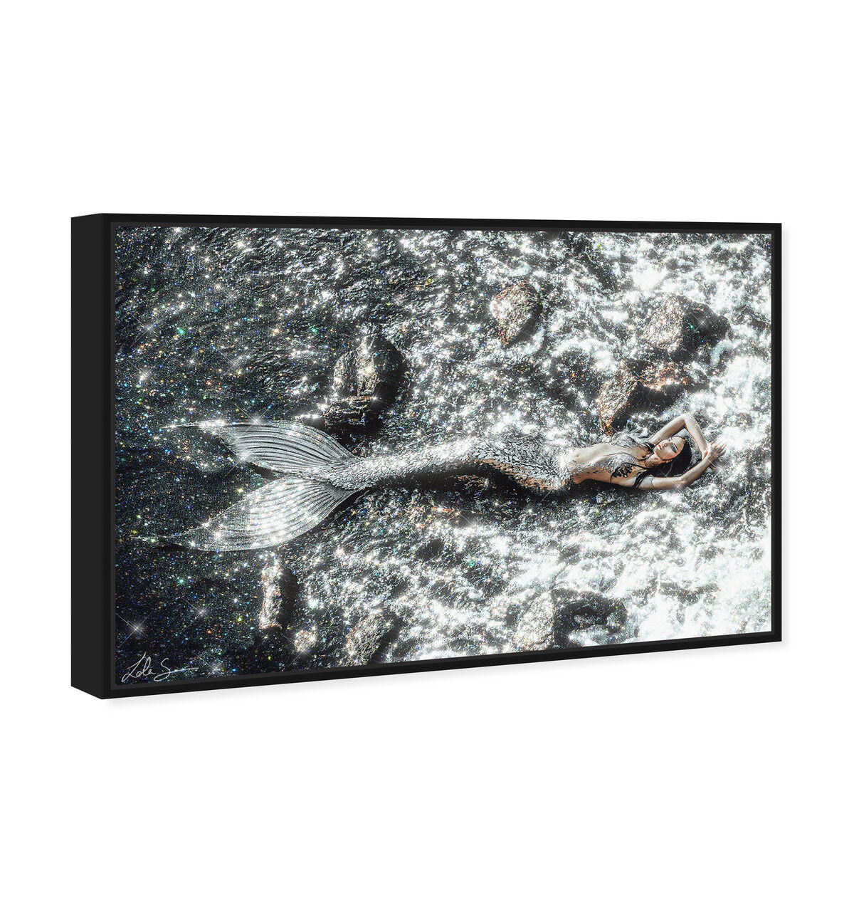 54x36/Framed Canvas/BFL