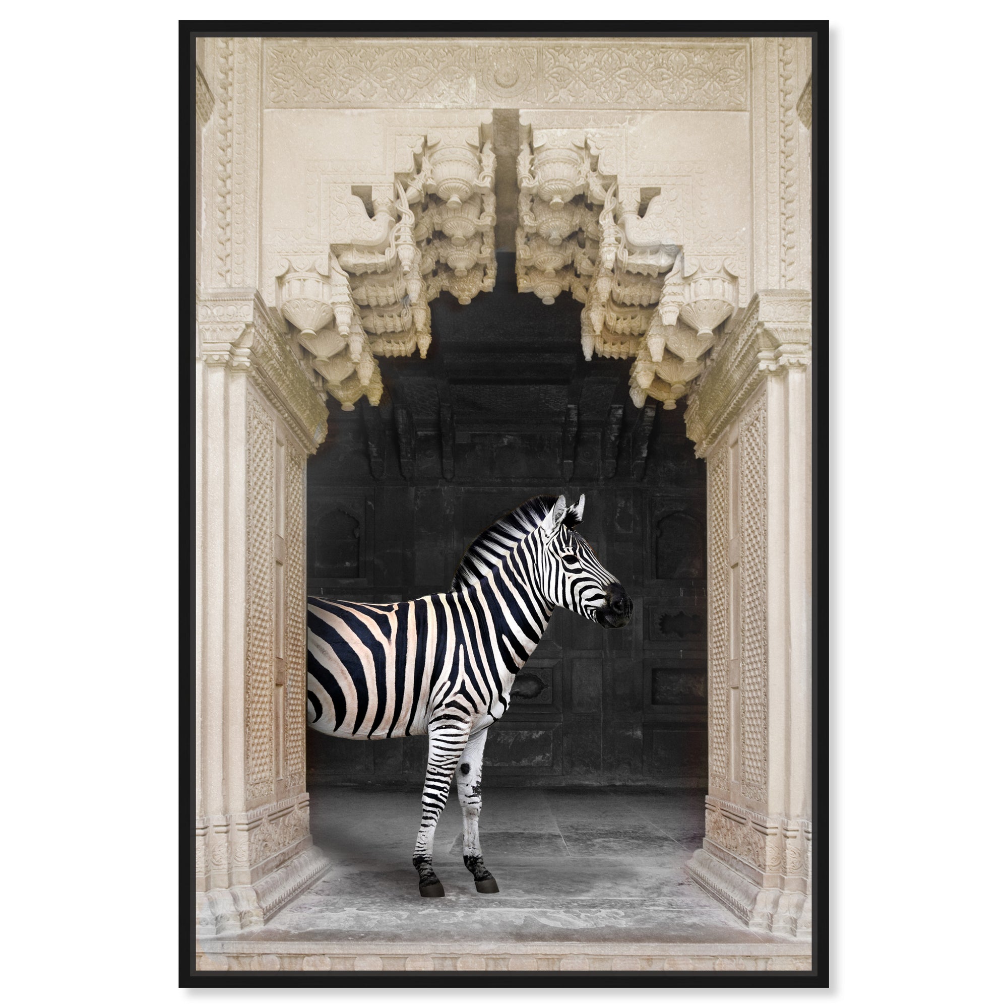 Zebras Apartment is Cream