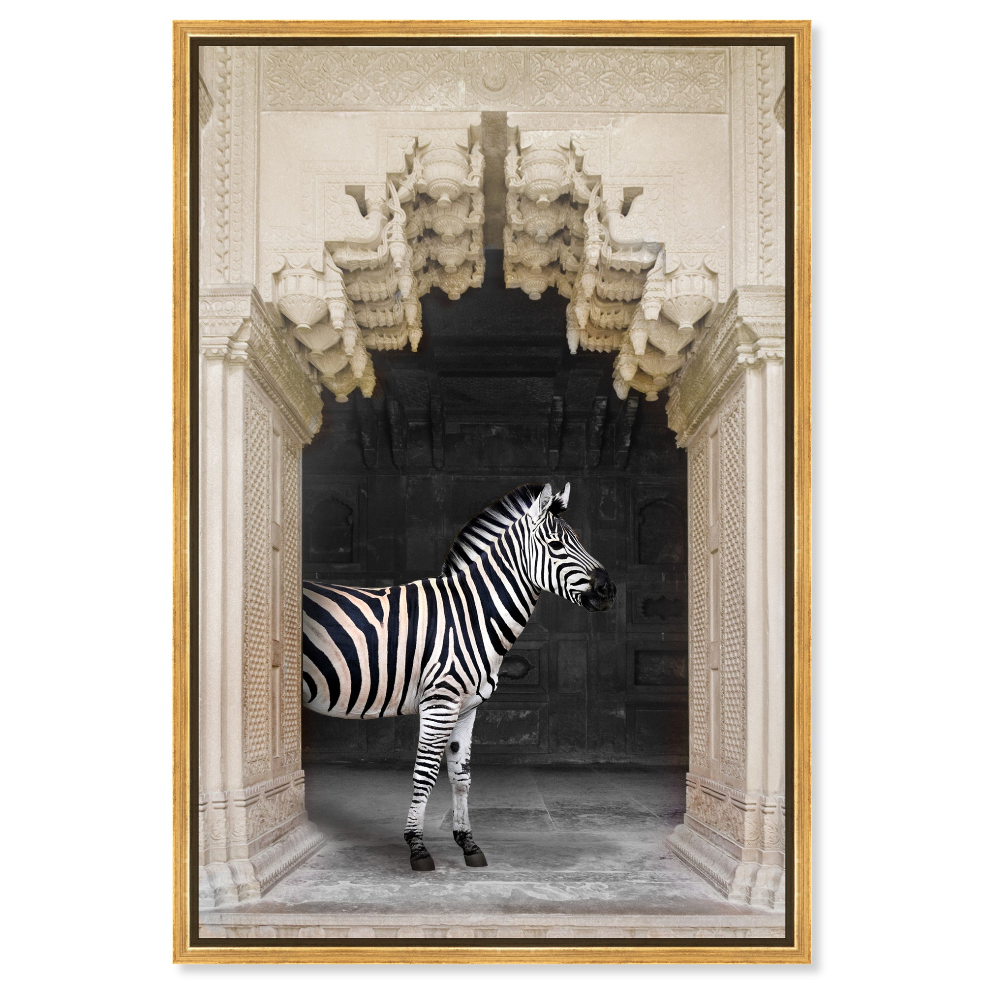 Zebras Apartment is Cream