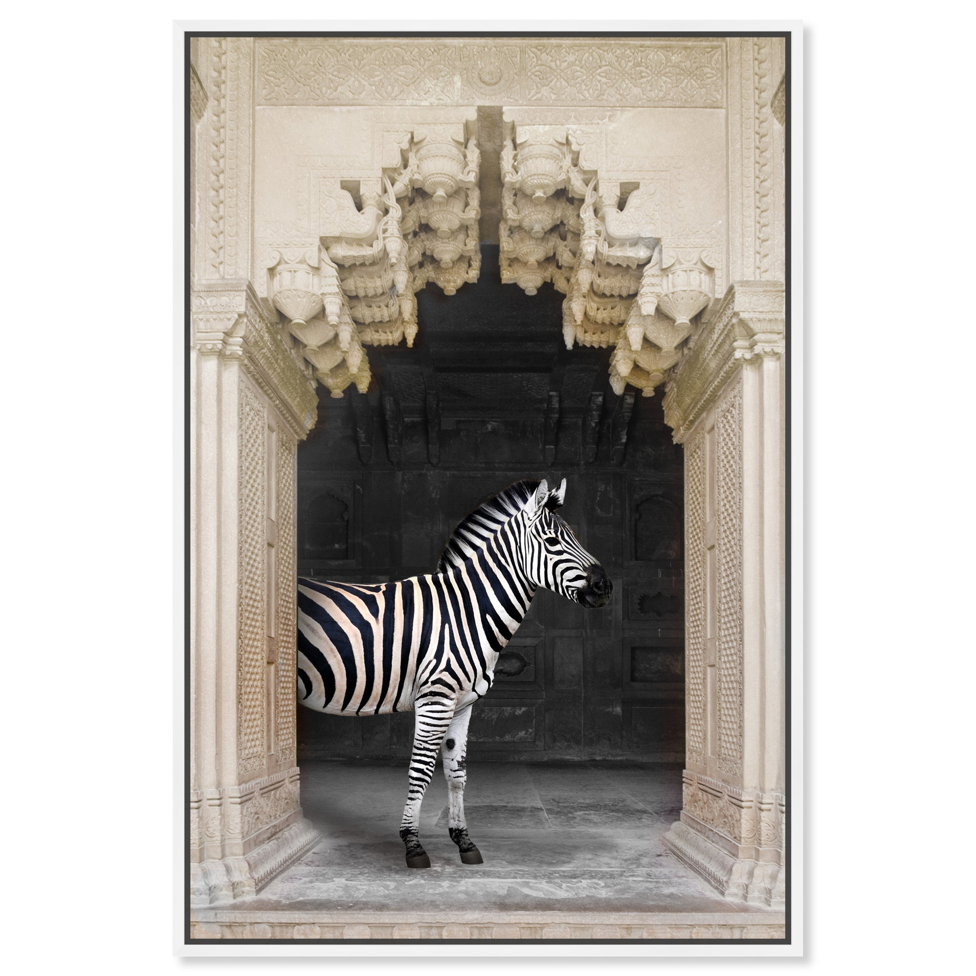 Zebras Apartment is Cream