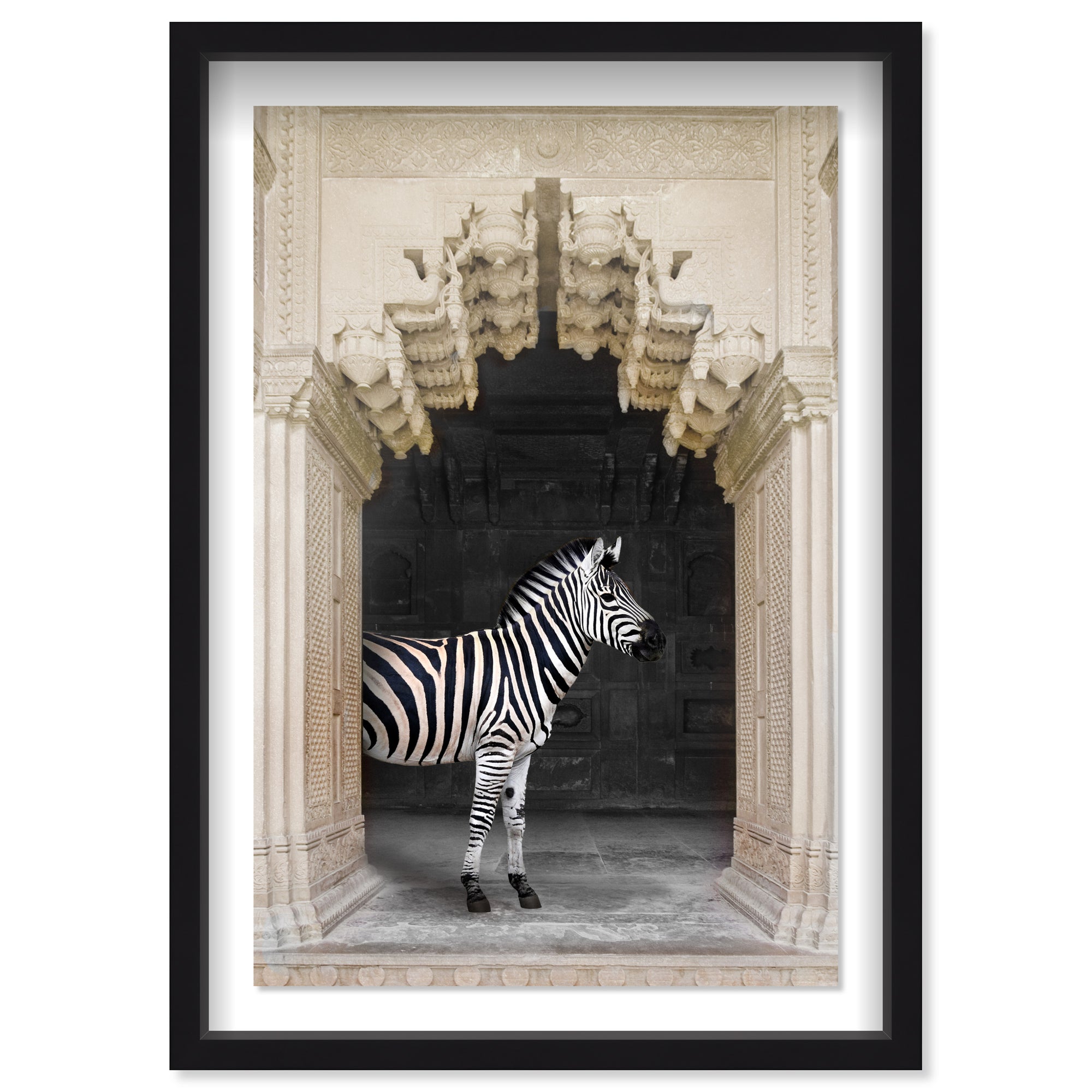 Zebras Apartment is Cream
